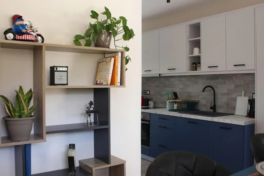 Kitchen or kitchenette in Agnes apartment Filopappou