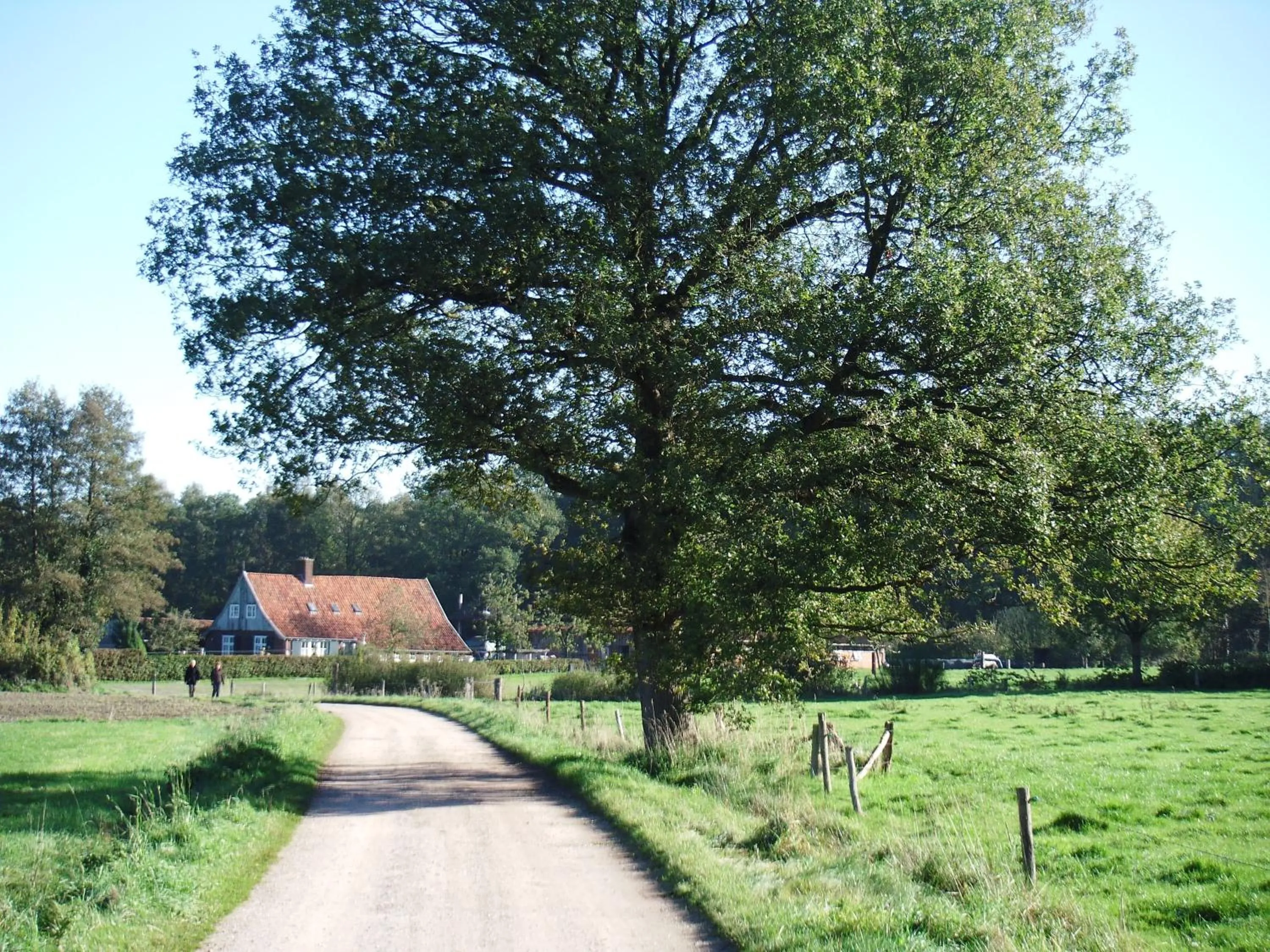 Area and facilities in Hotel 't Kruisselt