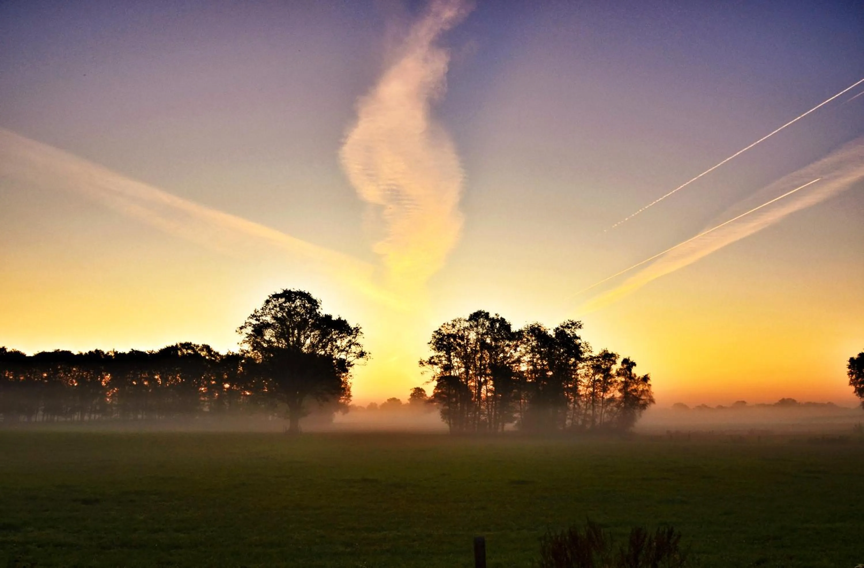 Natural landscape in Hotel 't Kruisselt