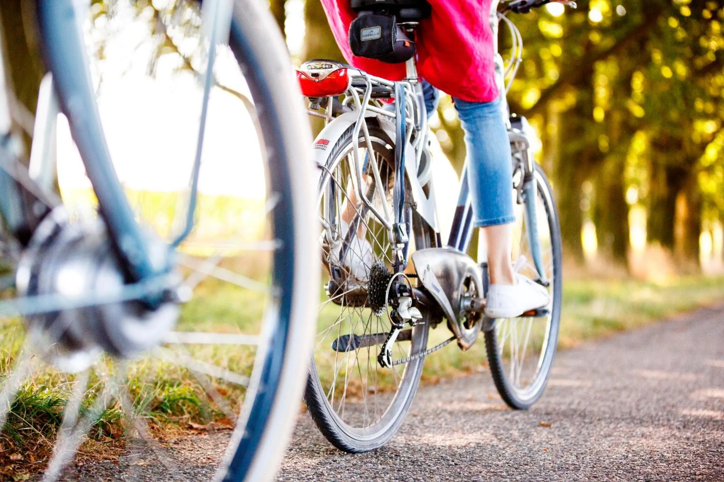 Cycling in Hotel 't Kruisselt