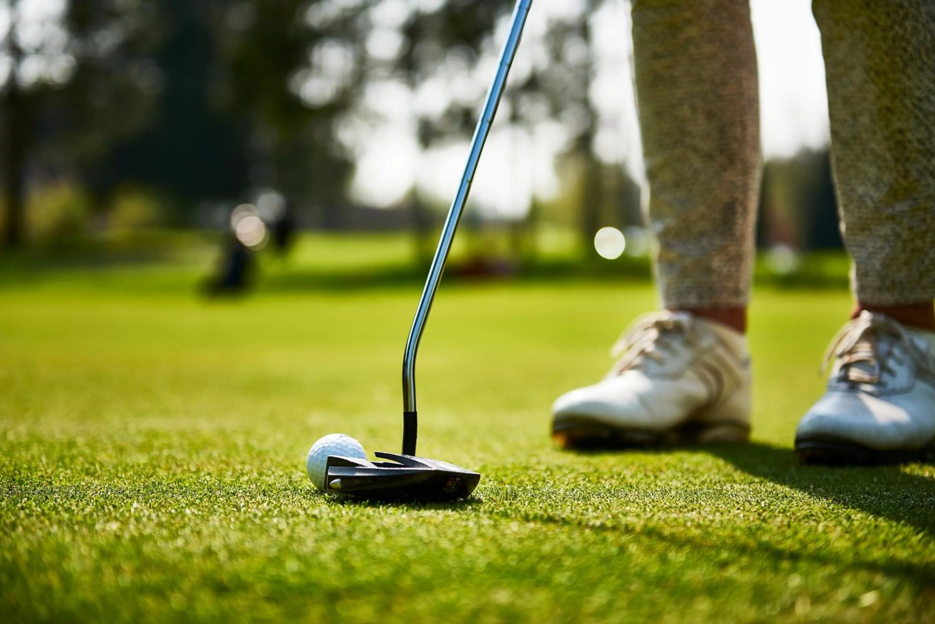 Golfcourse in Hotel 't Kruisselt