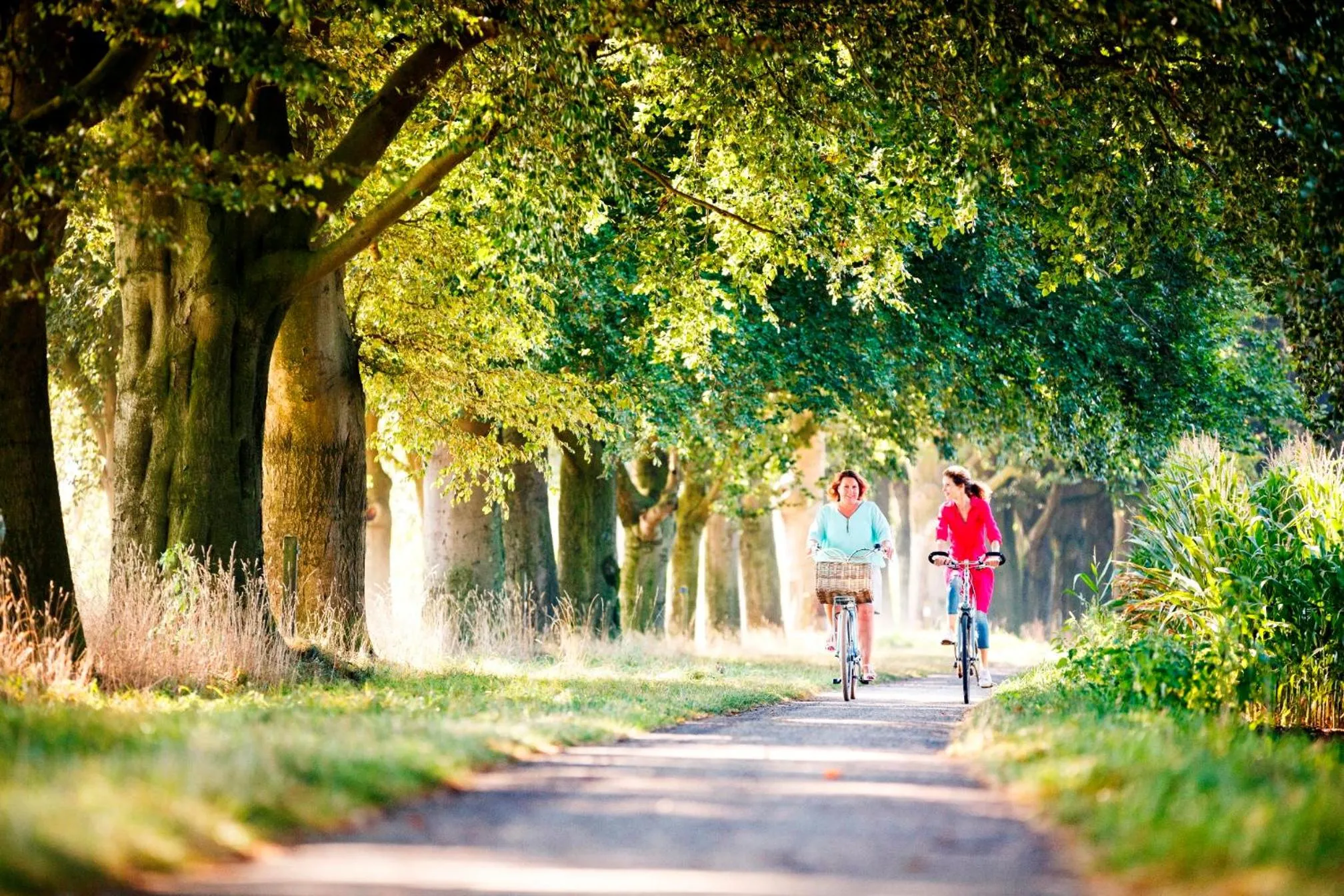 Cycling in Hotel 't Kruisselt
