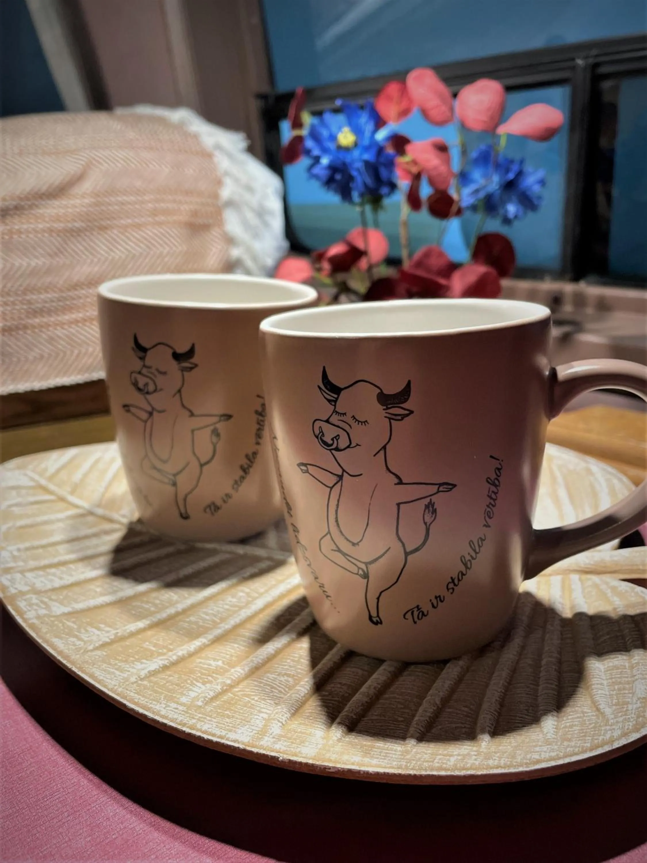 Urban Van Glamping Riga