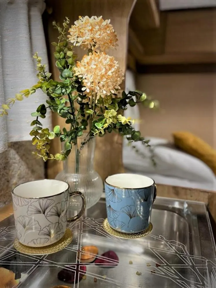 Urban Van Glamping Riga