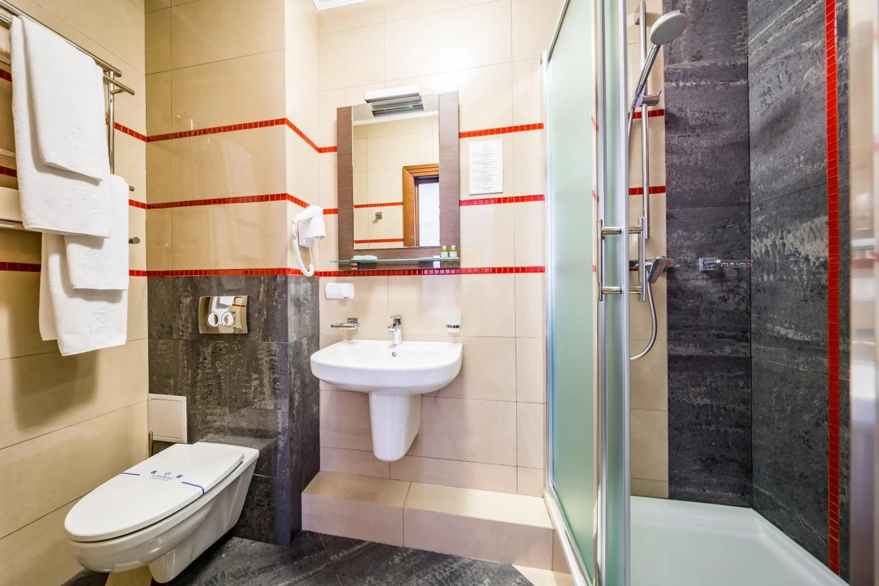 Large Double or Twin Room - single occupancy in Taurus Hotel & SPA Large Double or Twin Room - single occupancy in Taurus Hotel & SPA