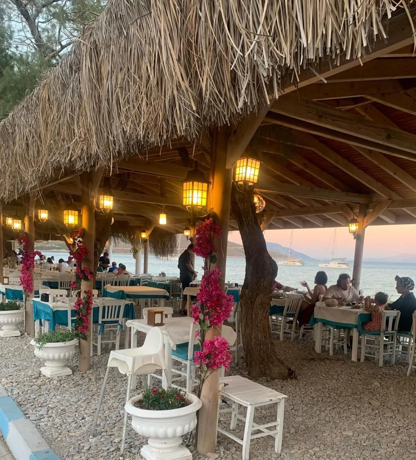 Restaurant/places to eat in Avlu Otel Palamutbükü