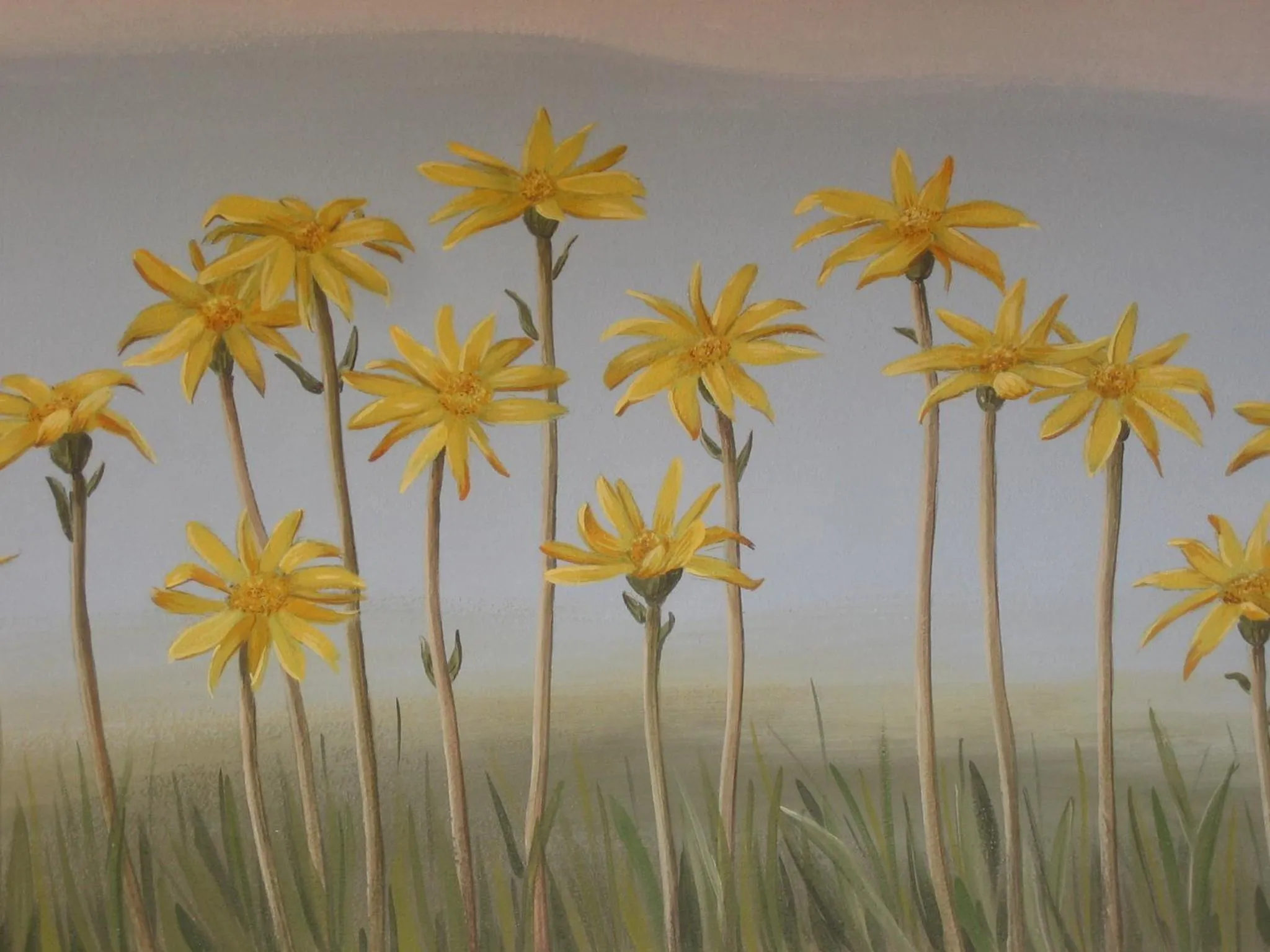 Area and facilities in Hotel Restaurant Rosmarie