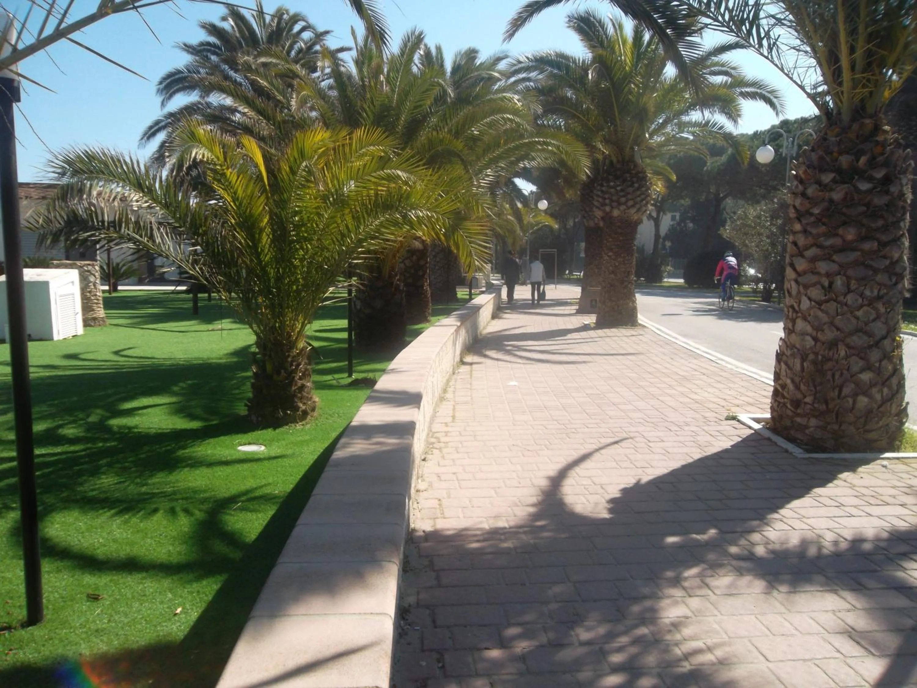 Area and facilities in Hotel Quattro Palme