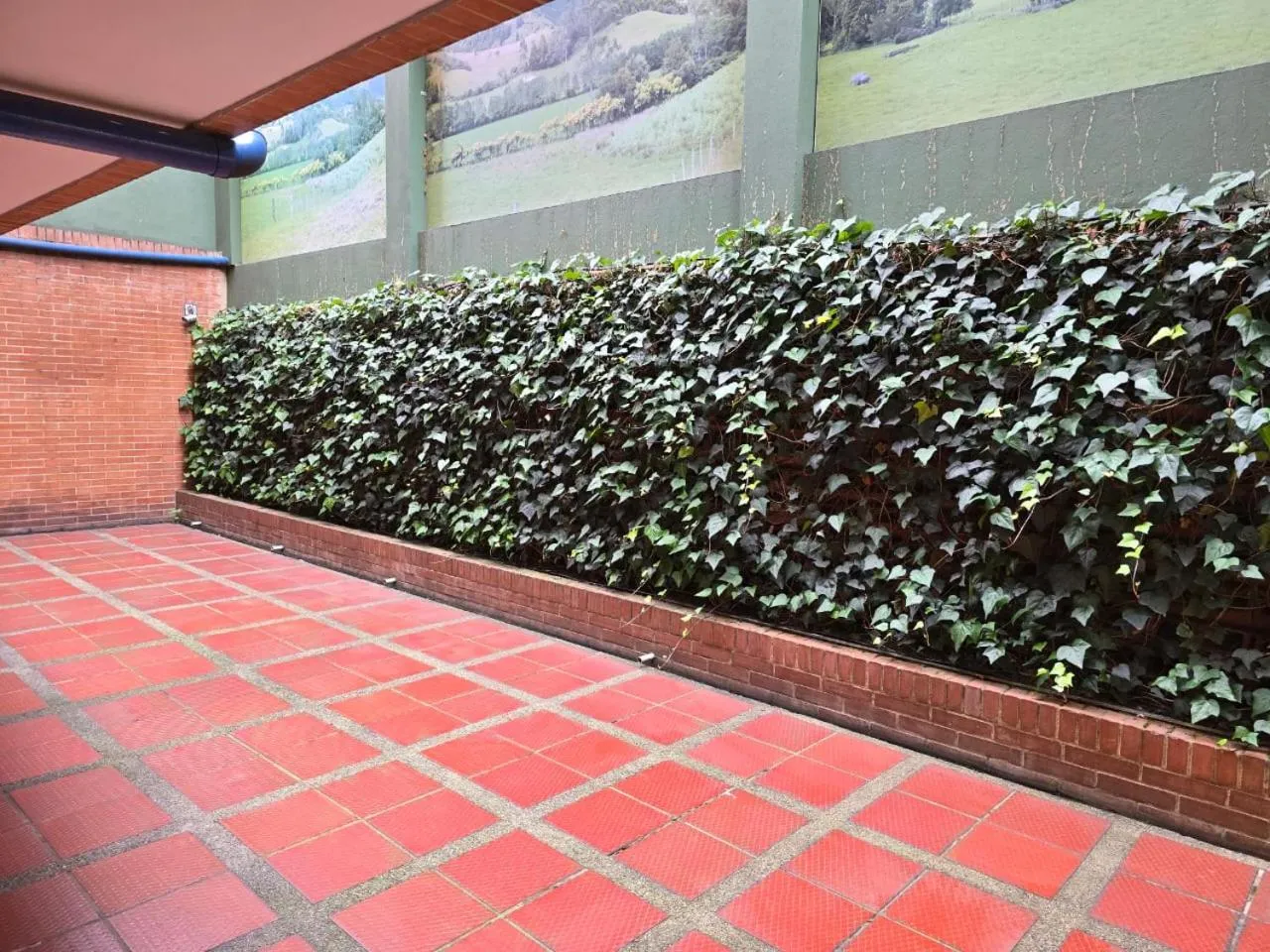 Garden in Hotel Castellana 100 Bogota By Hoteles Confort 80