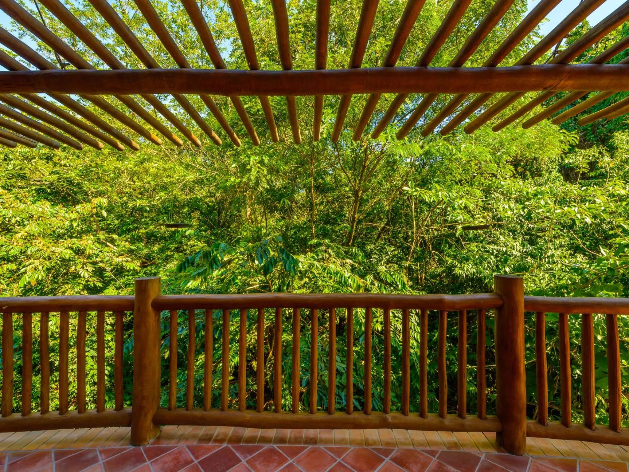 Garden view in Kalango Hotel Boutique