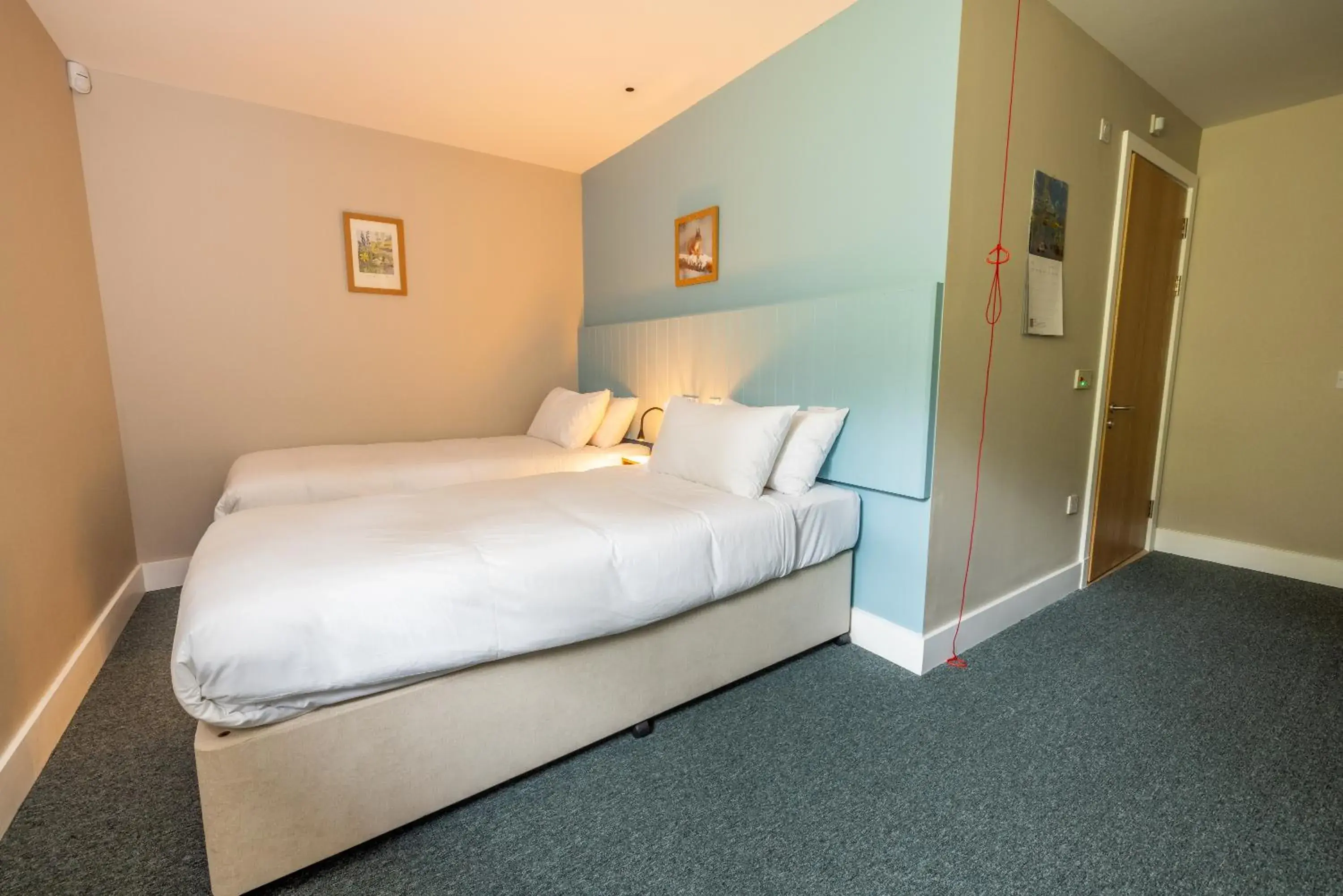 Accessible Twin 11 - single occupancy - Fearna (Alder) in An Spiris Accommodation at Dundreggan Rewilding Centre Accessible Twin 11 - single occupancy - Fearna (Alder) in An Spiris Accommodation at Dundreggan Rewilding Centre