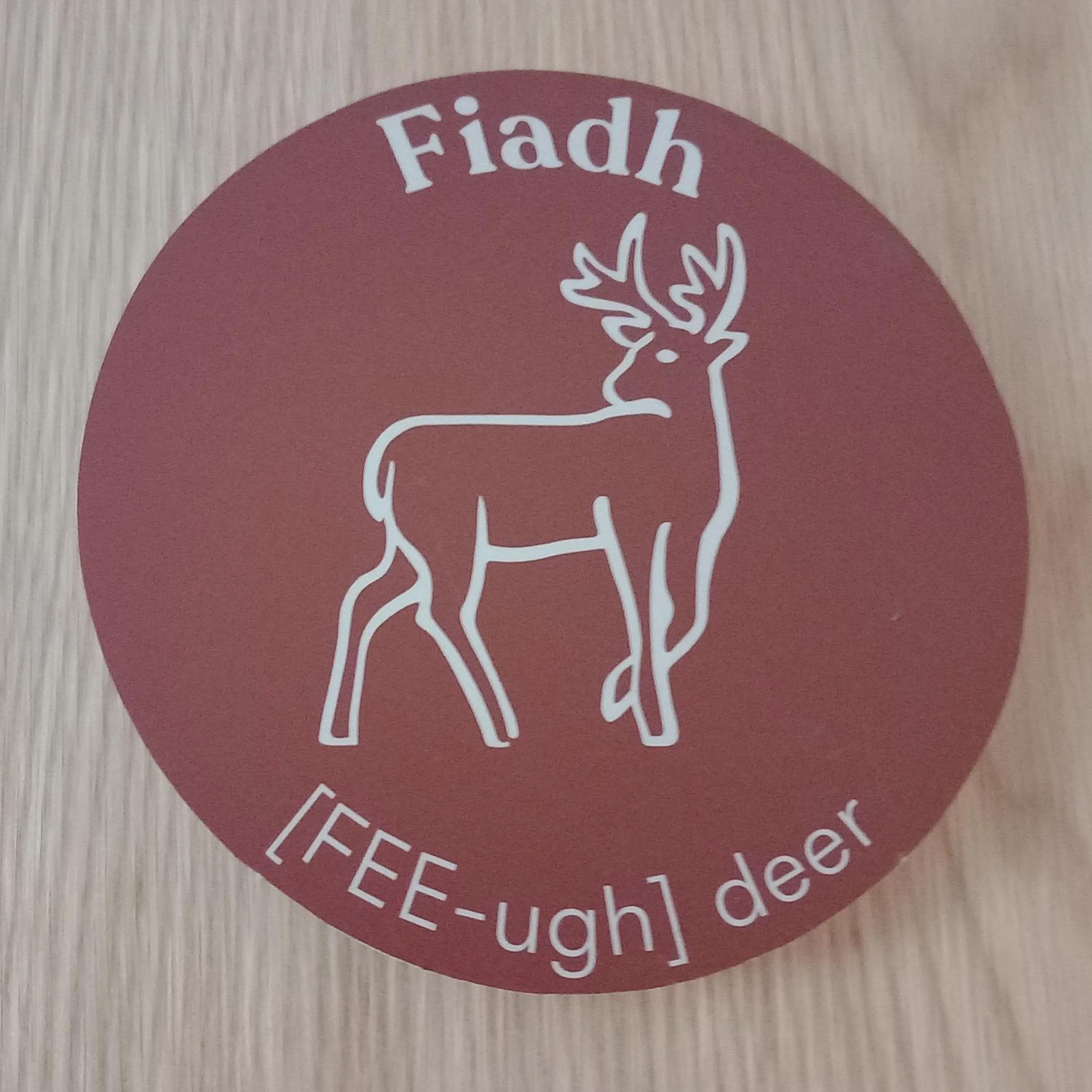 An Spiris Accommodation at Dundreggan Rewilding Centre