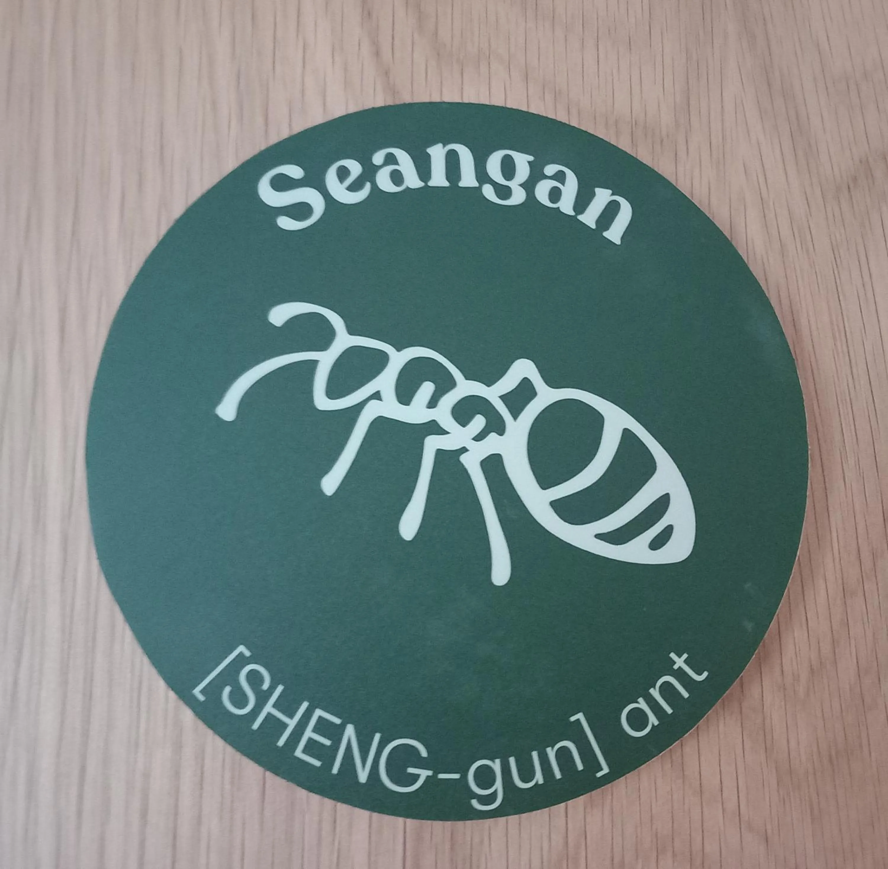 An Spiris Accommodation at Dundreggan Rewilding Centre