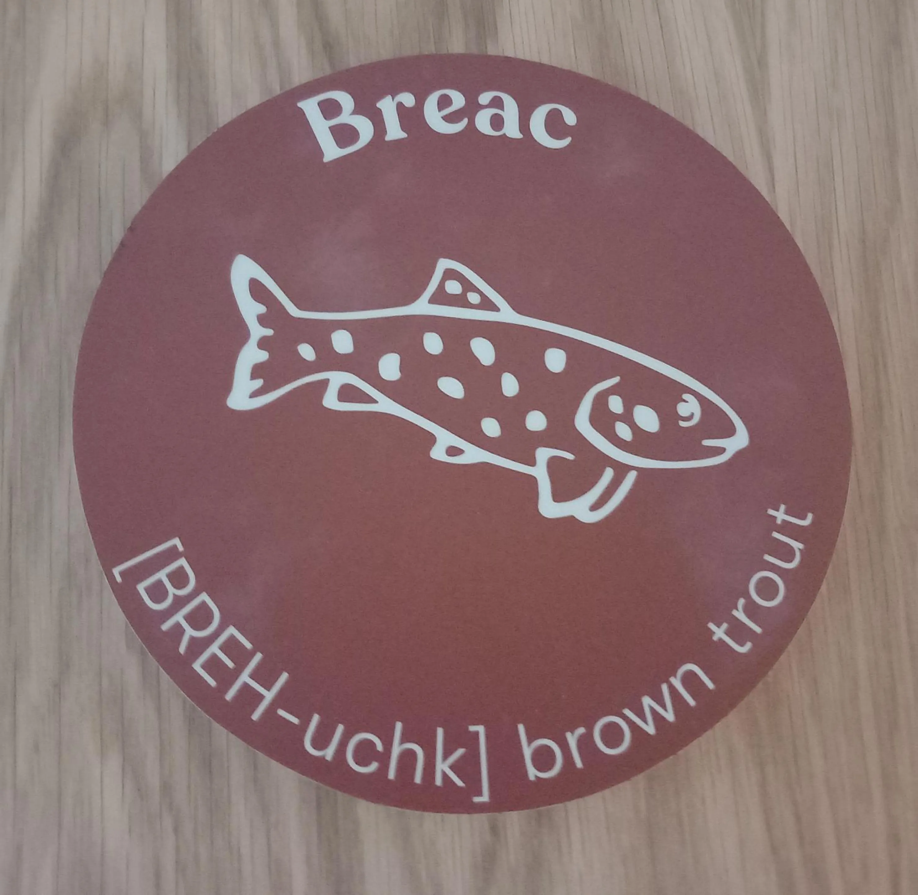 An Spiris Accommodation at Dundreggan Rewilding Centre