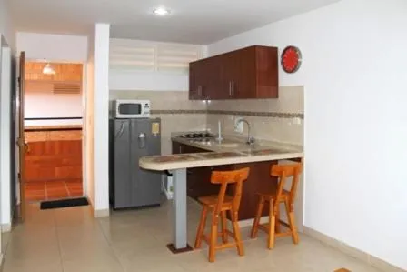 Kitchen or kitchenette in Apartahotel Los Cerezos
