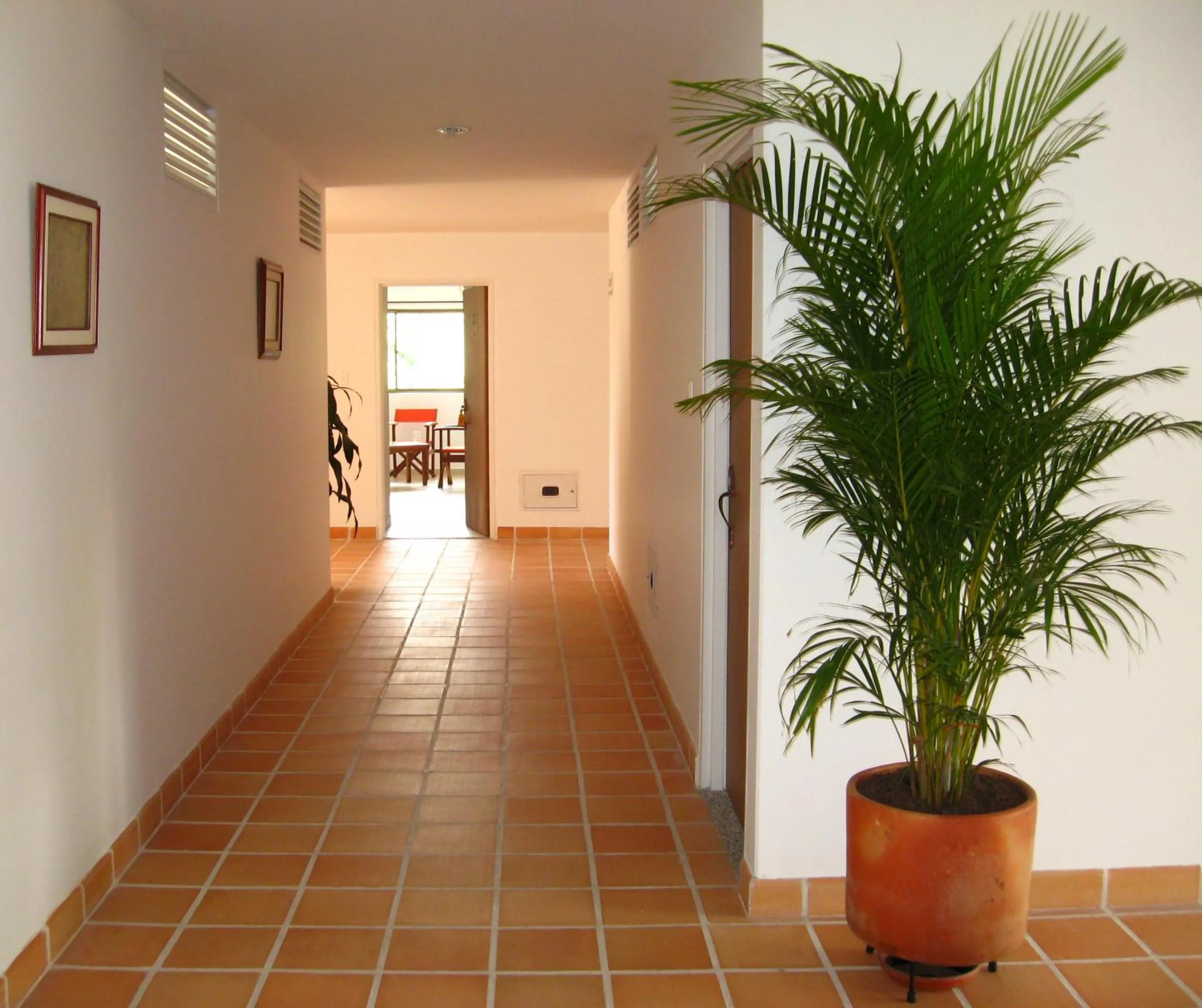 Area and facilities in Apartahotel Los Cerezos