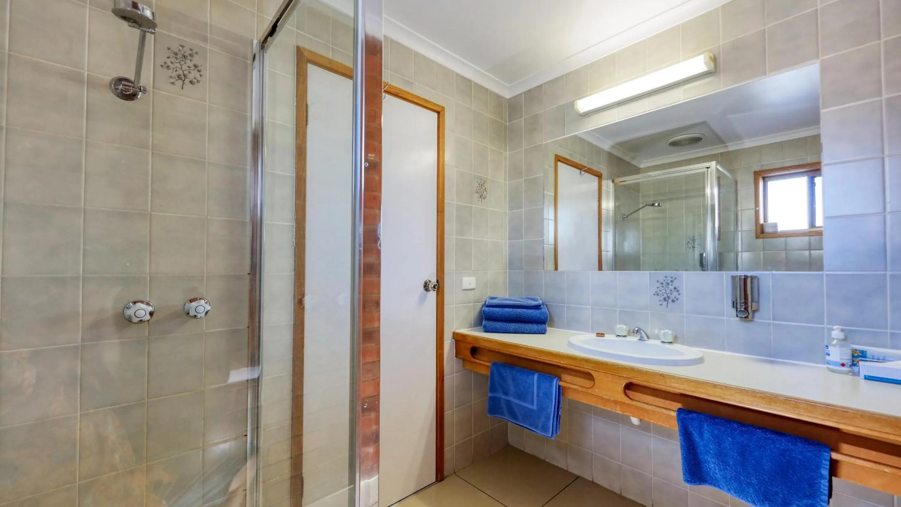 Bathroom in Tooleybuc Club Motor Inn