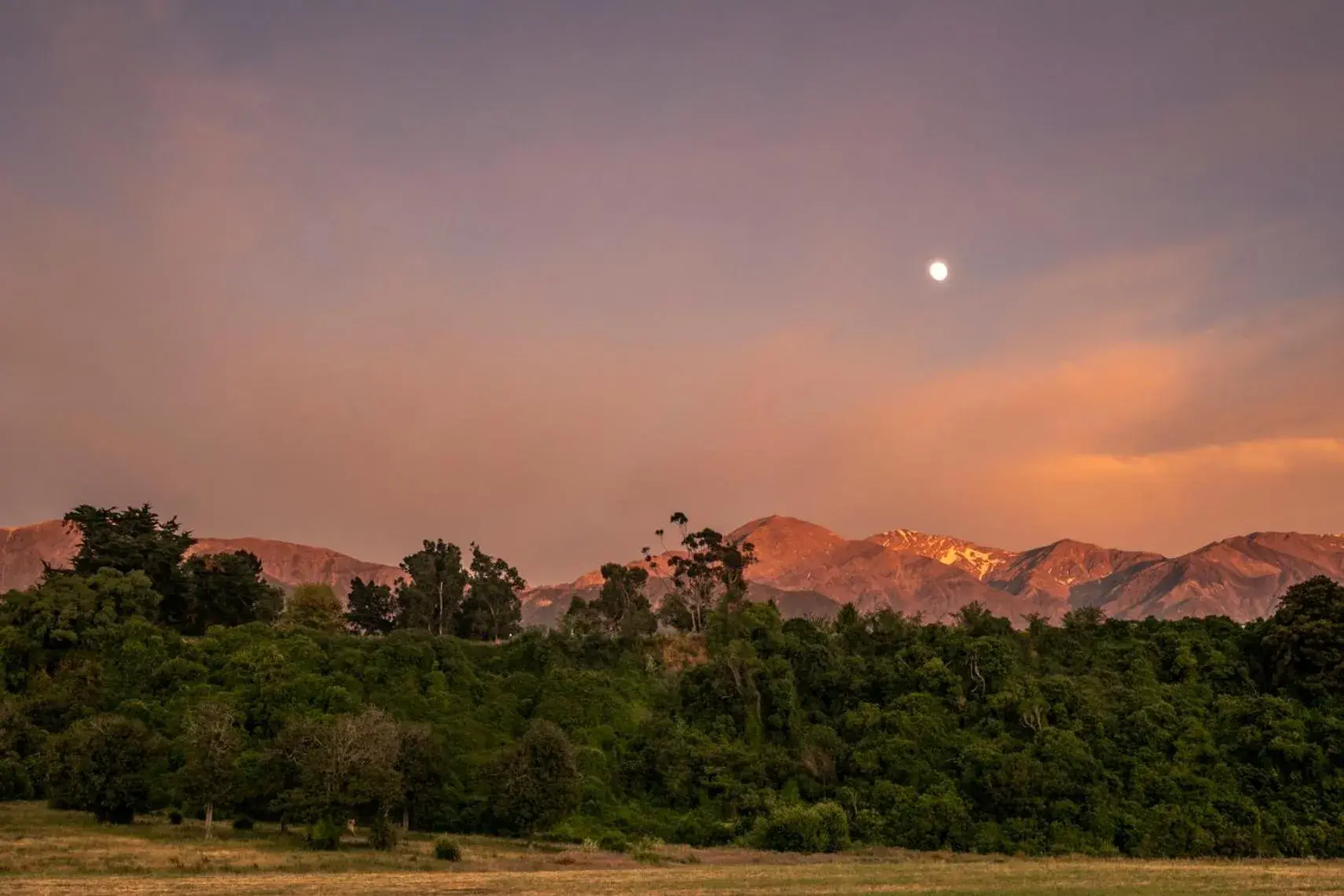 Double Room in Train Carriage in Hapuku Carriages Kaikōura Double Room in Train Carriage in Hapuku Carriages Kaikōura