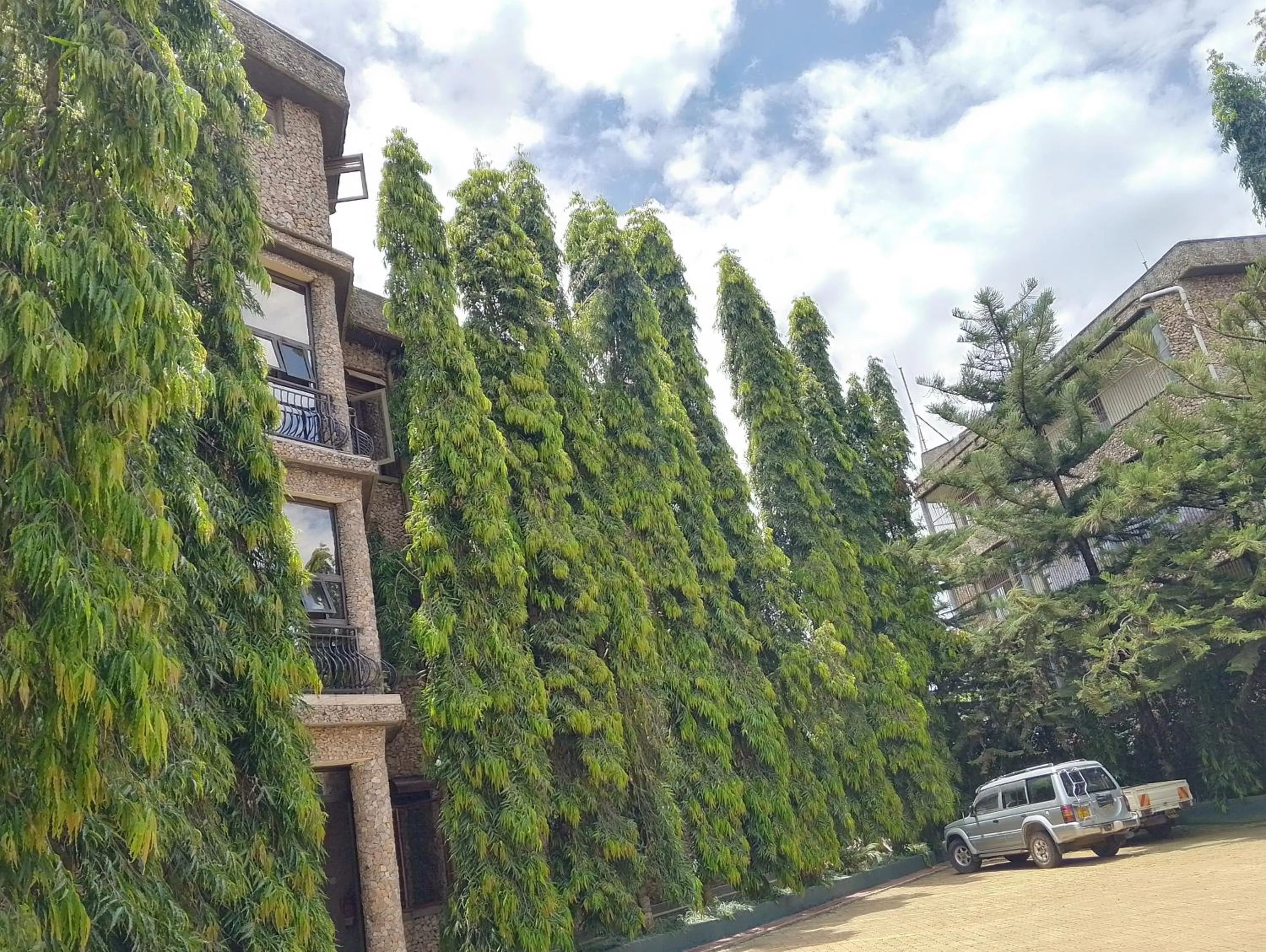 Garden view in DISCOVERY COURTS HOTEL