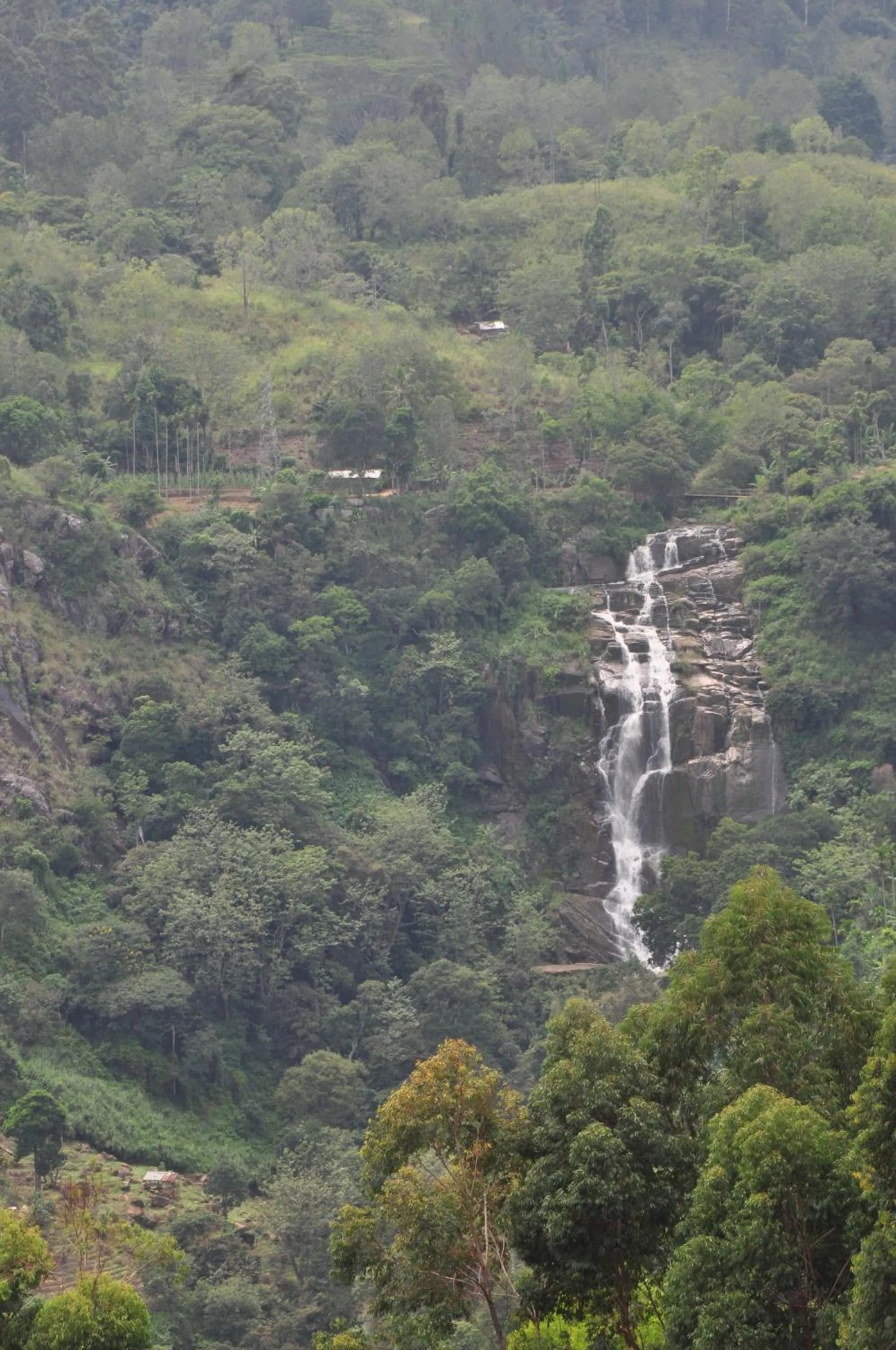 Natural landscape in Hotel Country Comfort