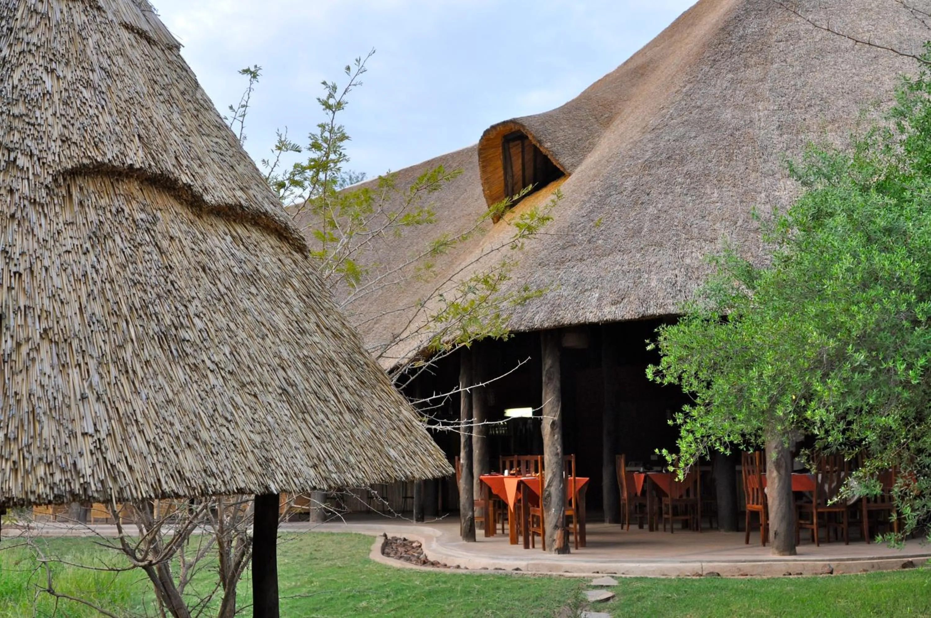 Restaurant/places to eat in Munga Eco-Lodge