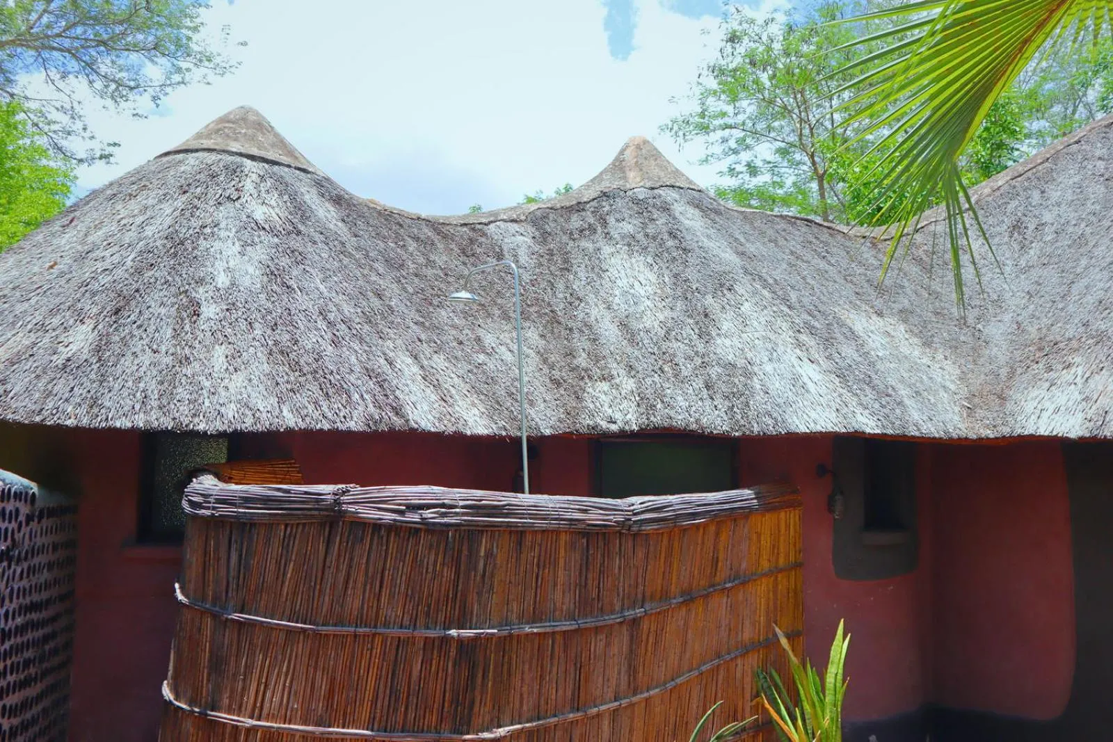 Day in Munga Eco-Lodge