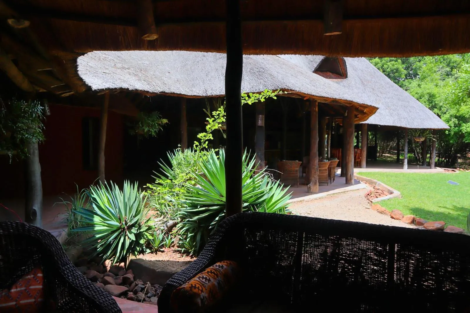 Property building in Munga Eco-Lodge