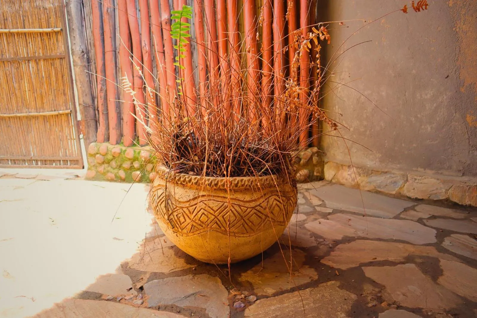 Day in Munga Eco-Lodge