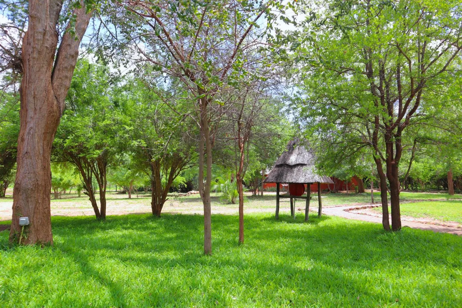 Day in Munga Eco-Lodge