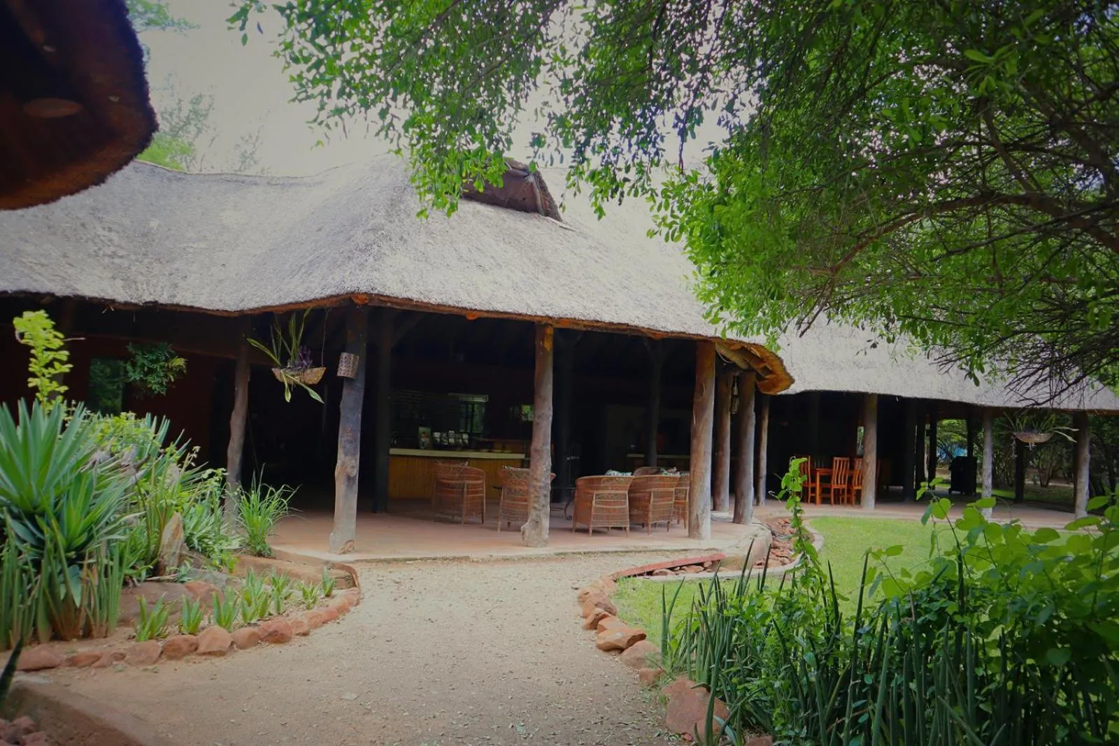 Property building in Munga Eco-Lodge
