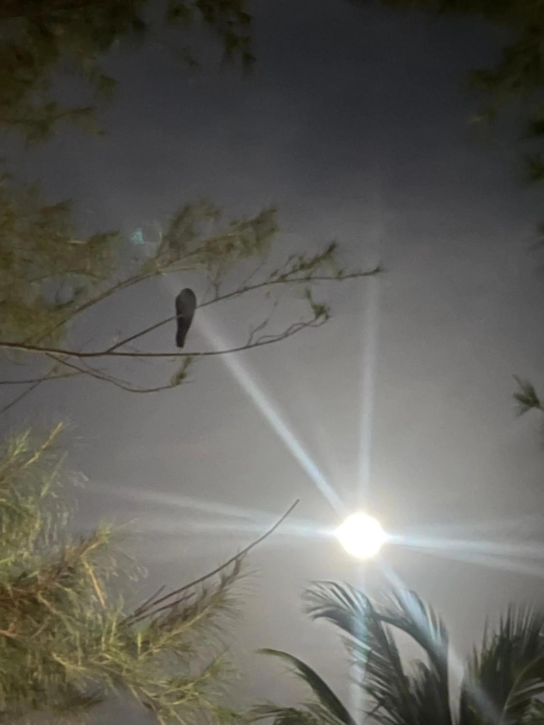 Anandas Beach Resort