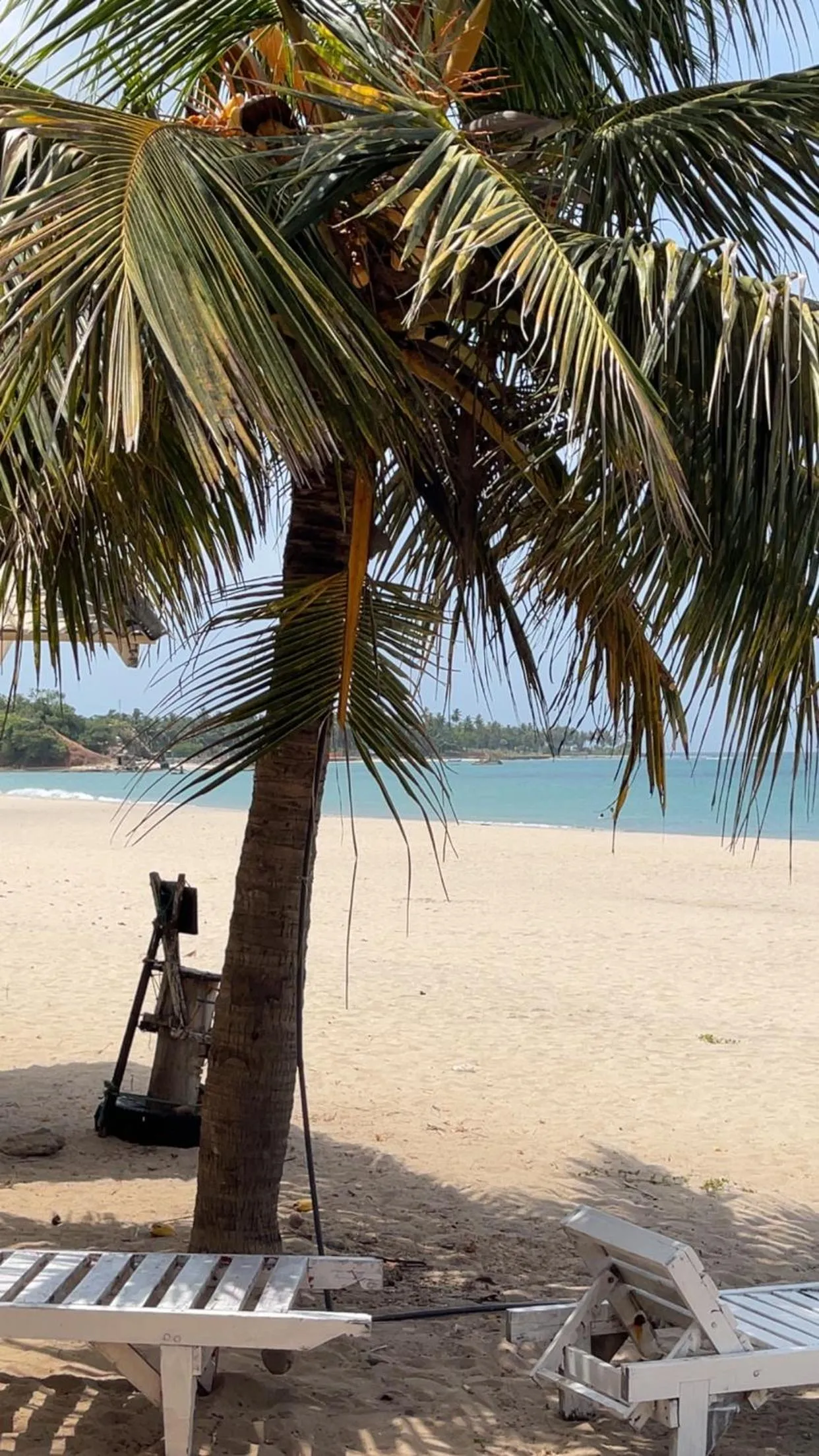 Anandas Beach Resort