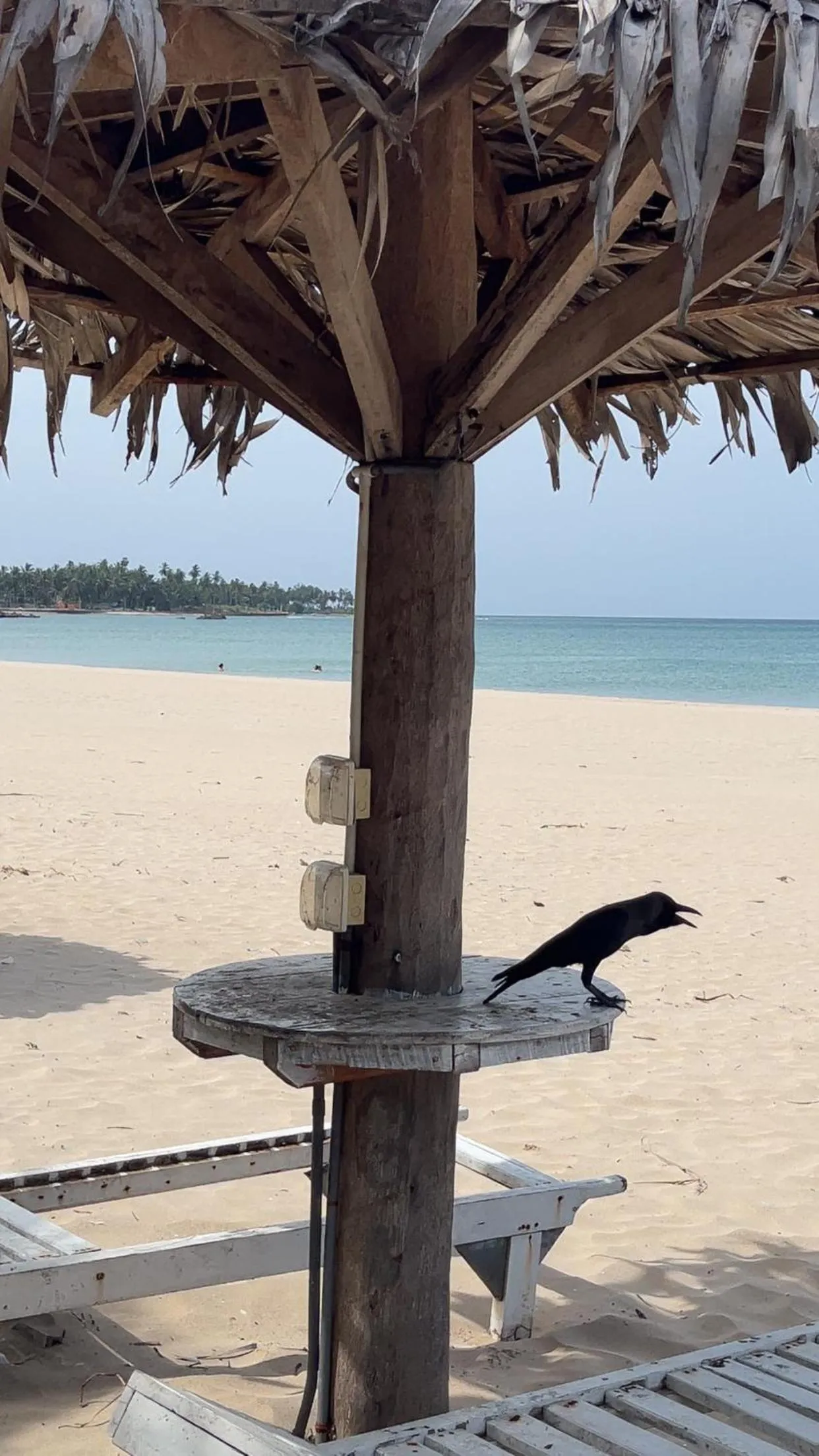 Anandas Beach Resort