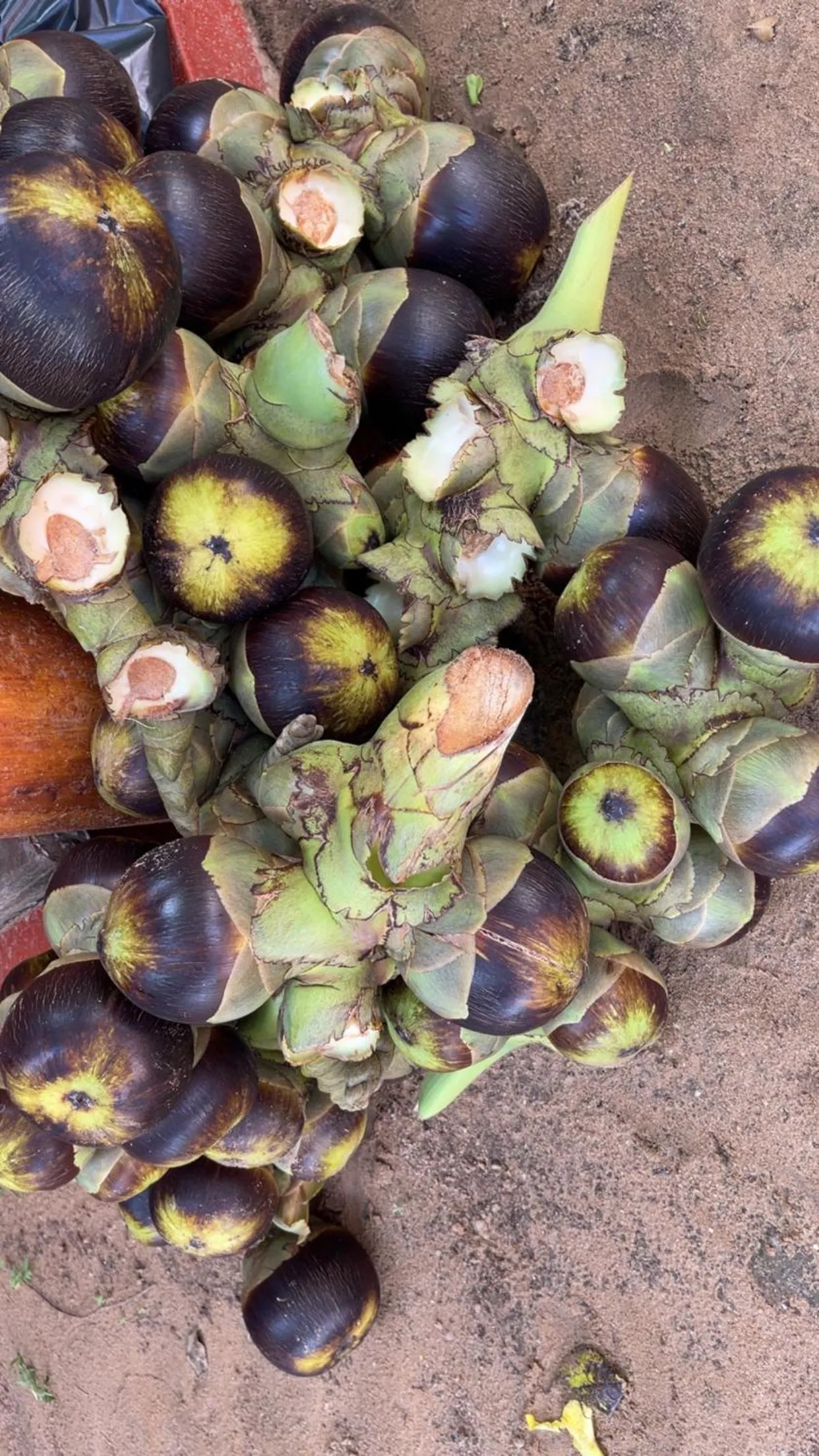 Anandas Beach Resort