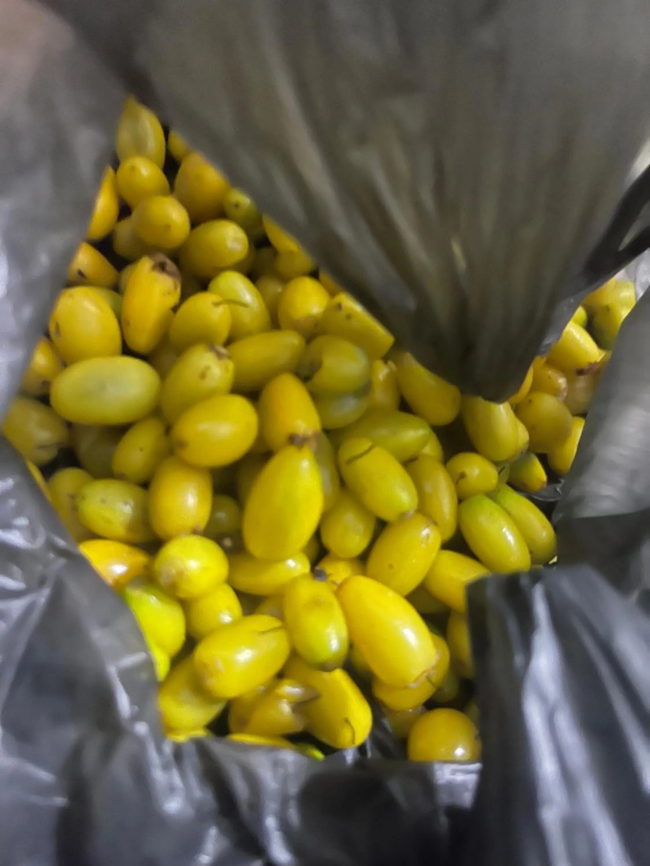 Anandas Beach Resort