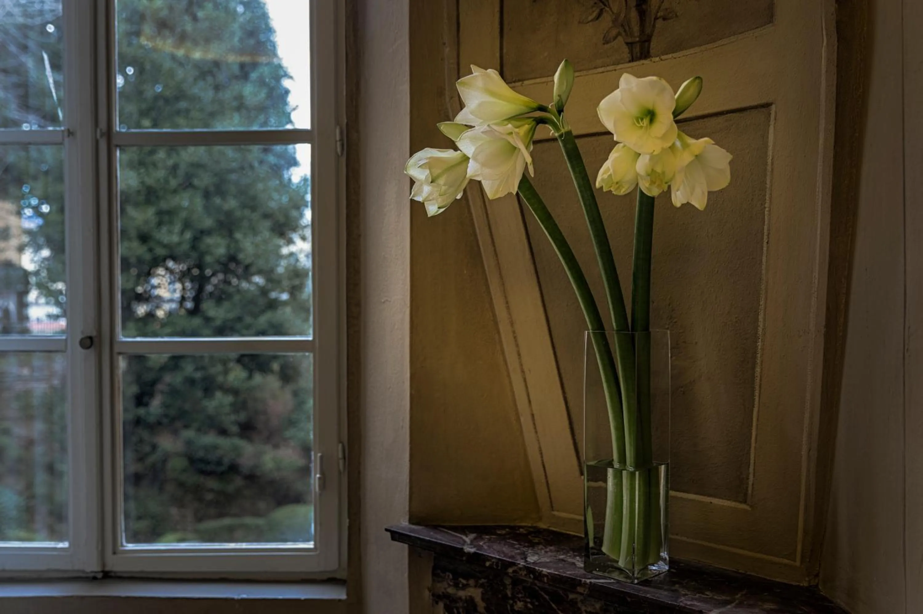 Decorative detail in Palazzo Guicciardini