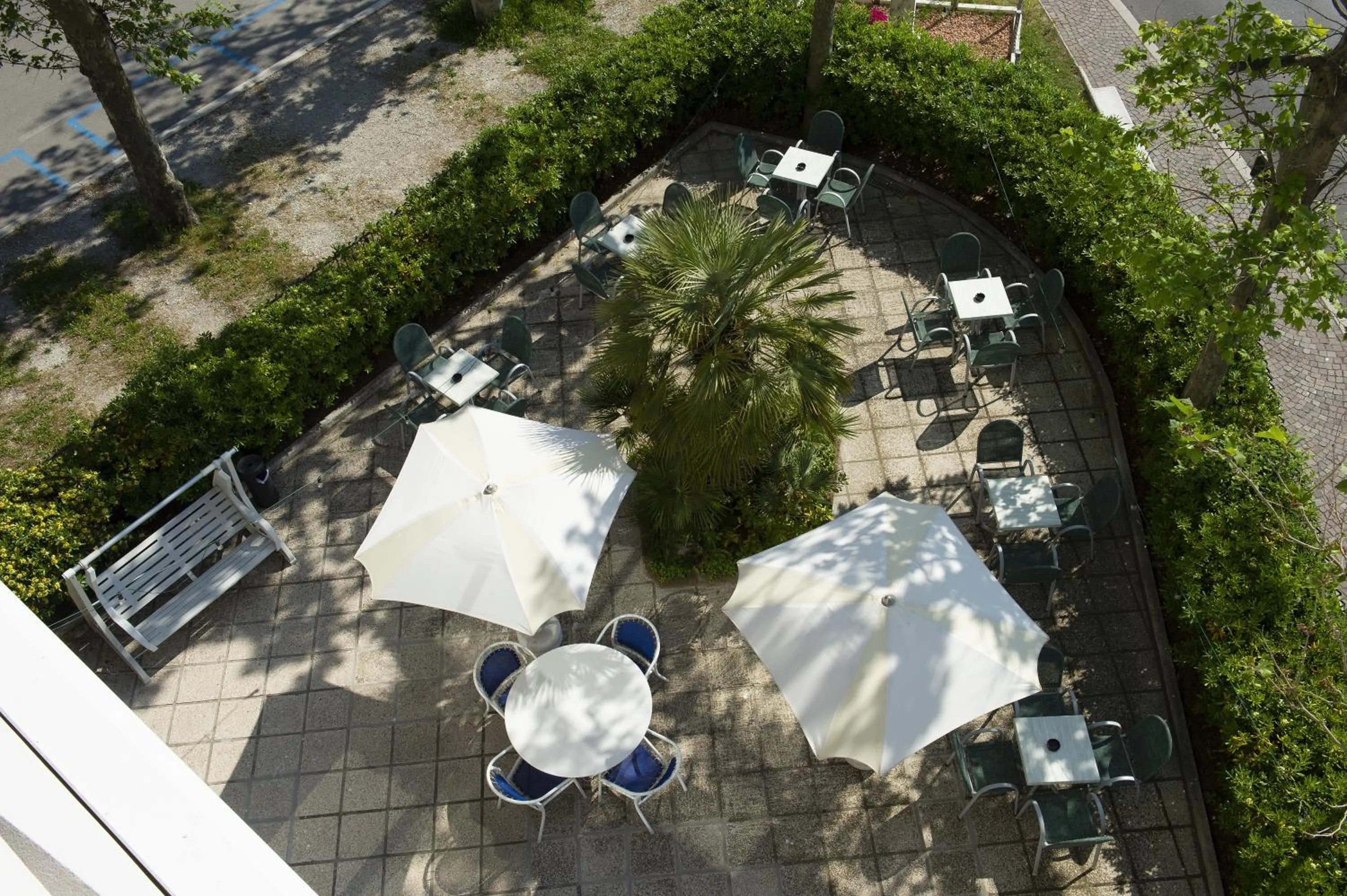 Garden in Hotel Baltic