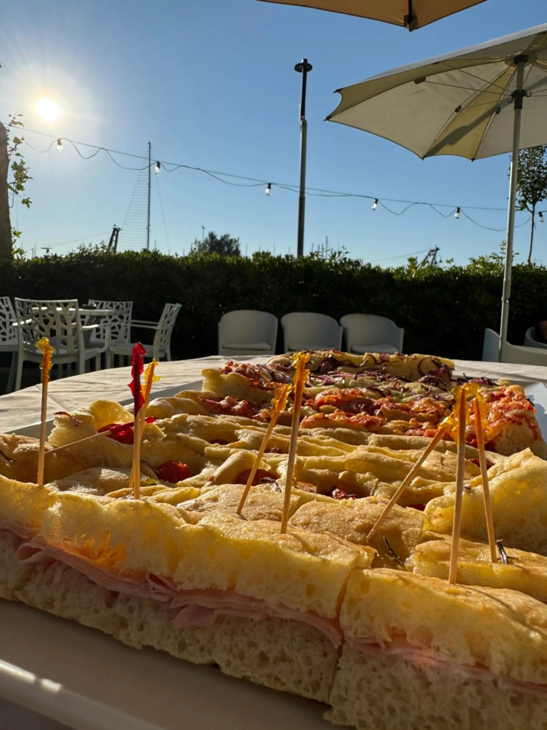 Garden view in Hotel Baltic