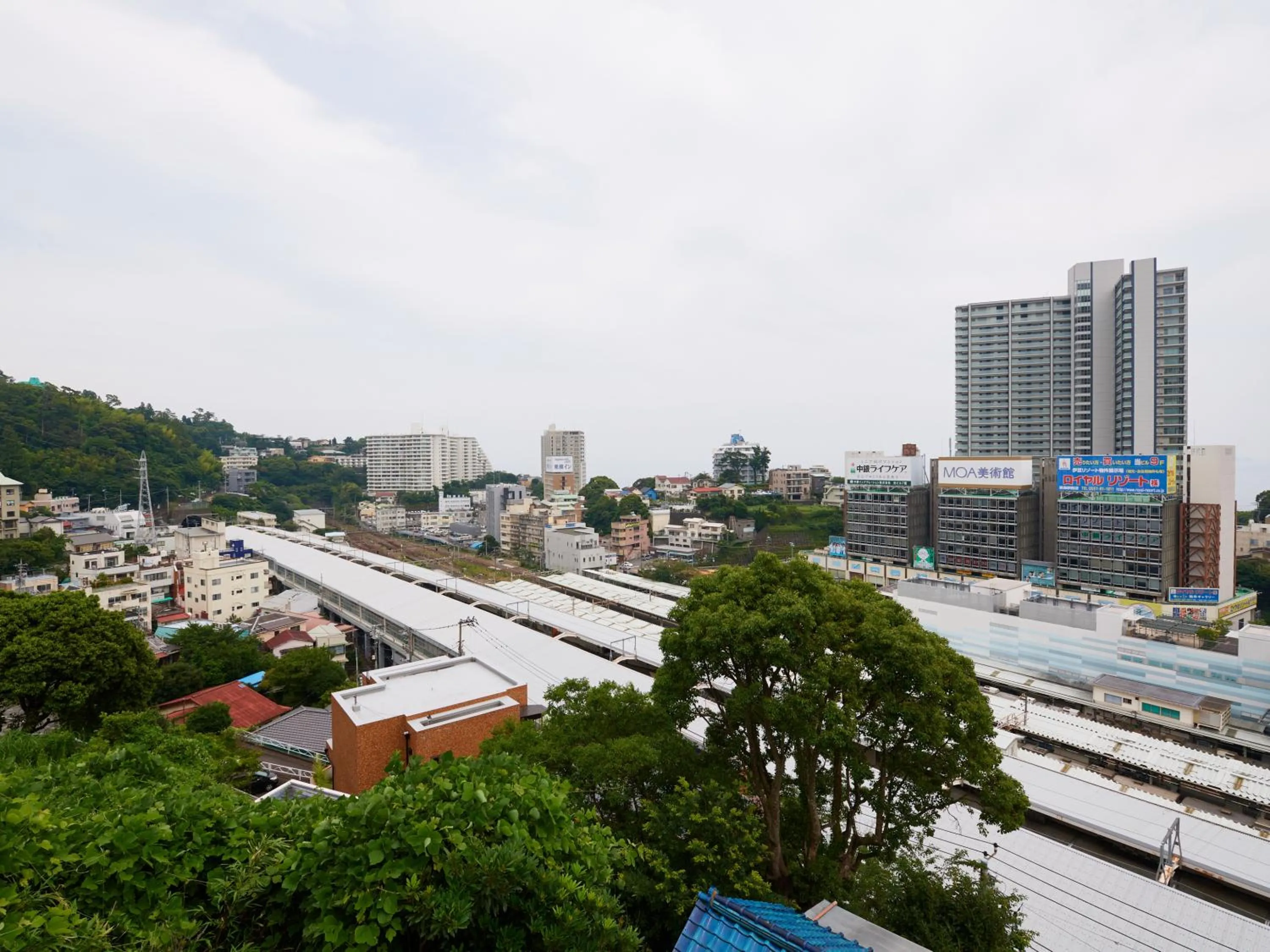 Photo of the whole room in Chateraise Lodge Atami