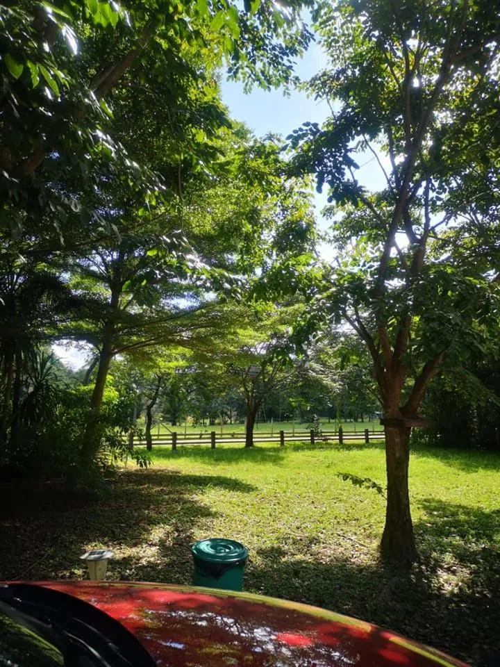 Garden in Family Resort Khao Yai