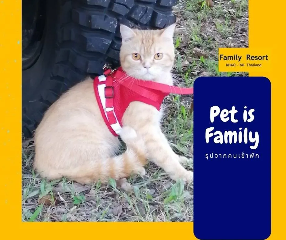 Animals in Family Resort Khao Yai