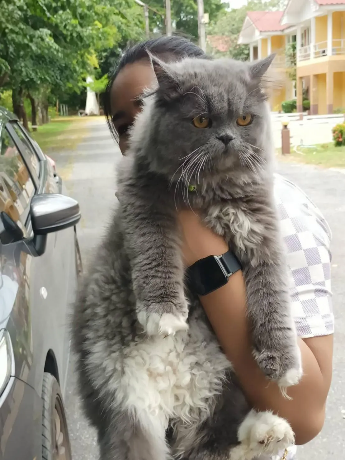 Pets in Family Resort Khao Yai