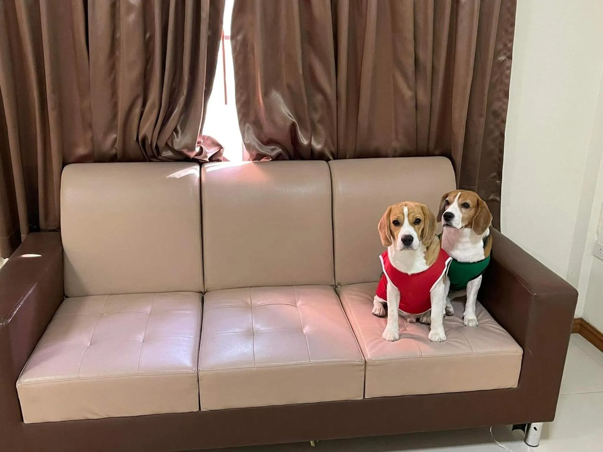 Pets in Family Resort Khao Yai