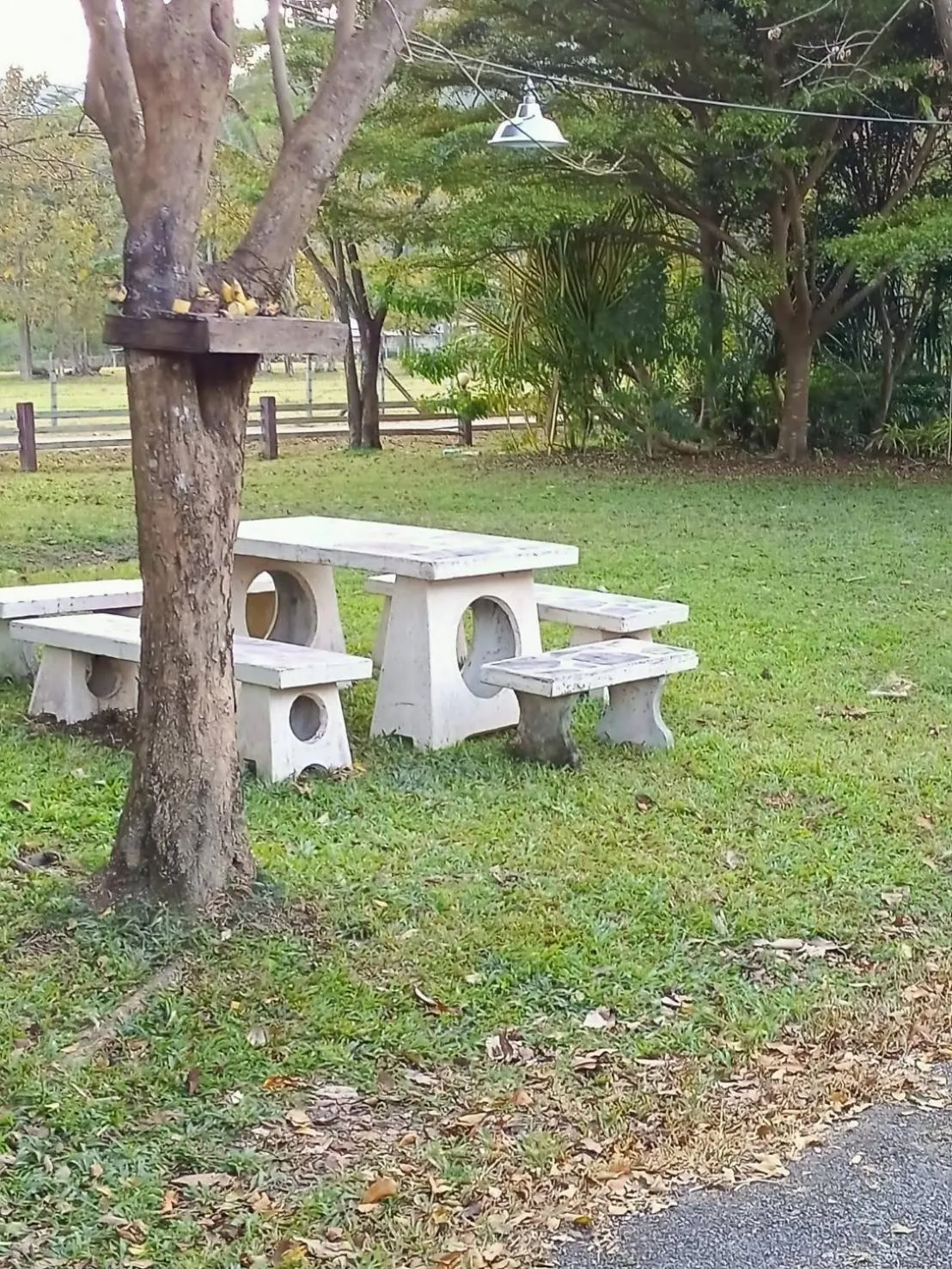 Natural landscape in Family Resort Khao Yai