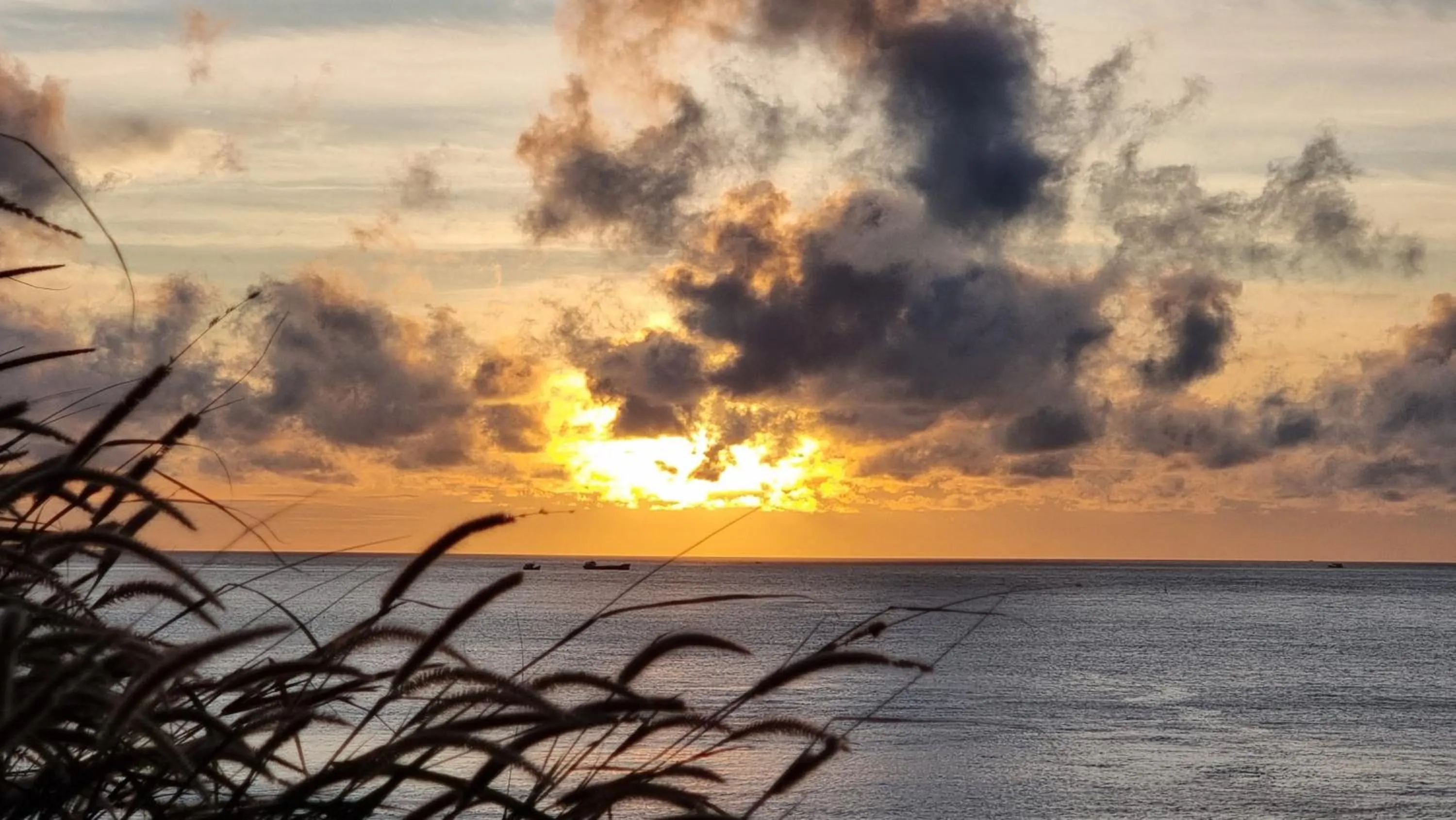 Natural landscape in Havana Con Dao Hotel