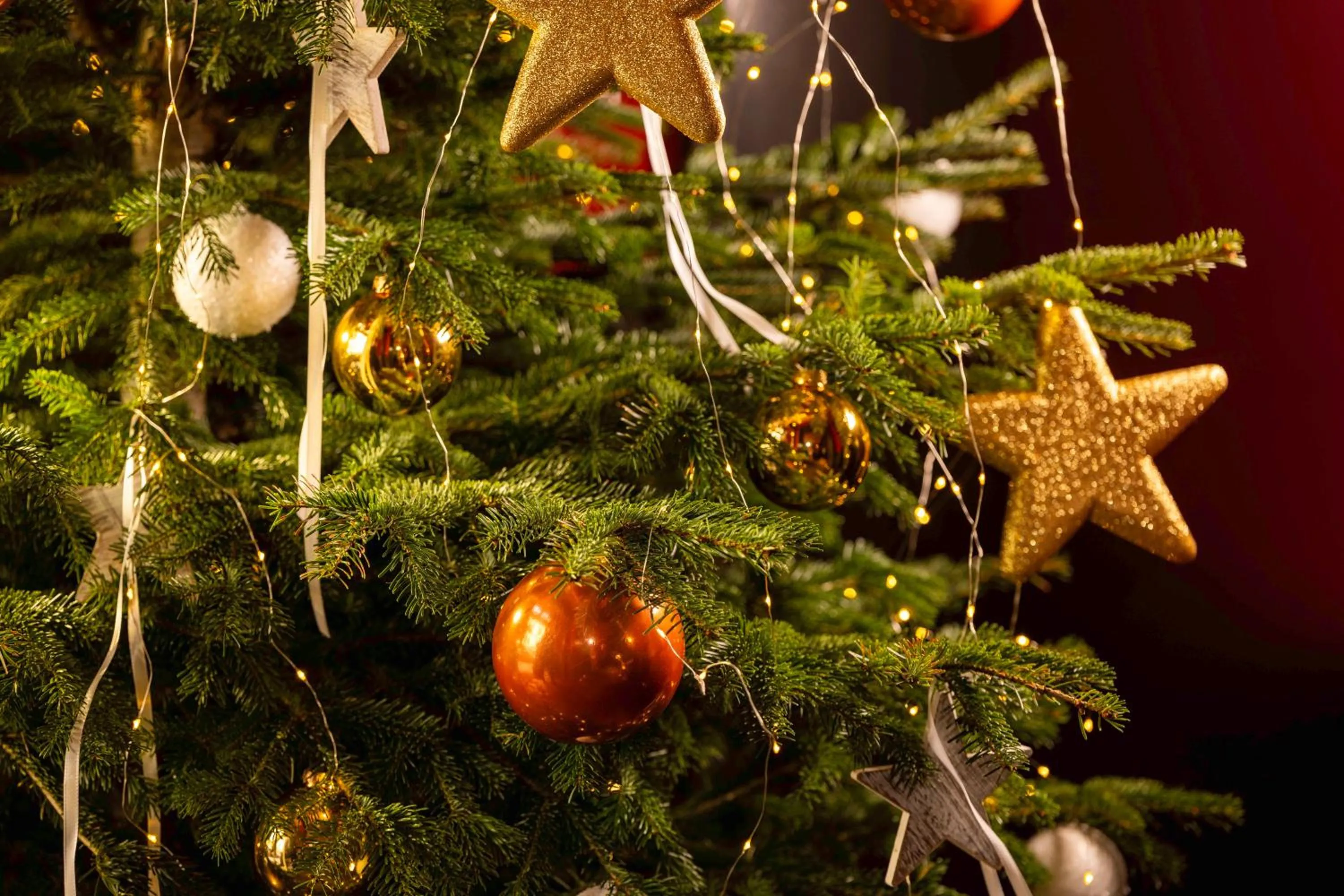 Winter in Hotel D - Strasbourg