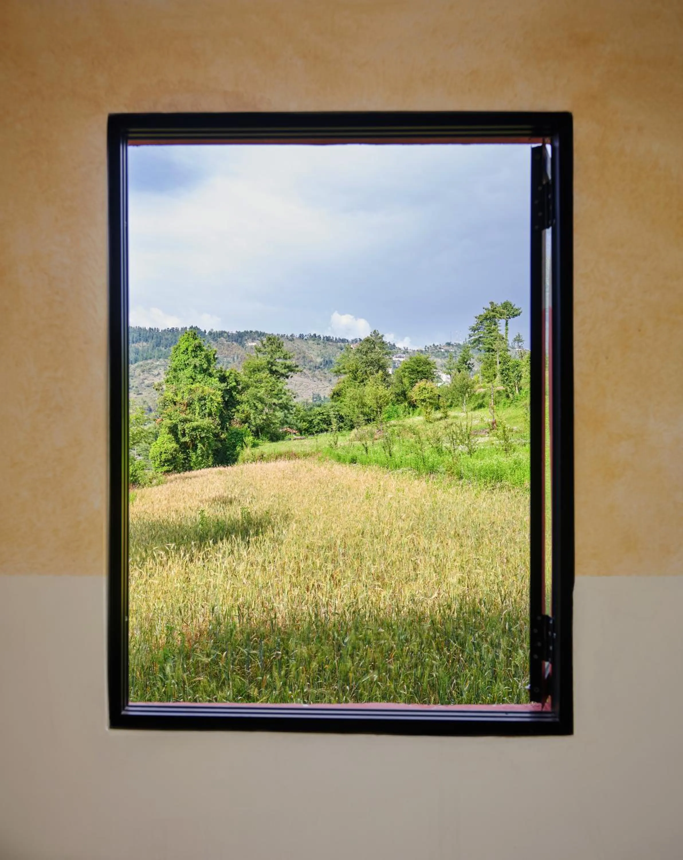 Natural landscape in Minimalist : An Eco Farmstay