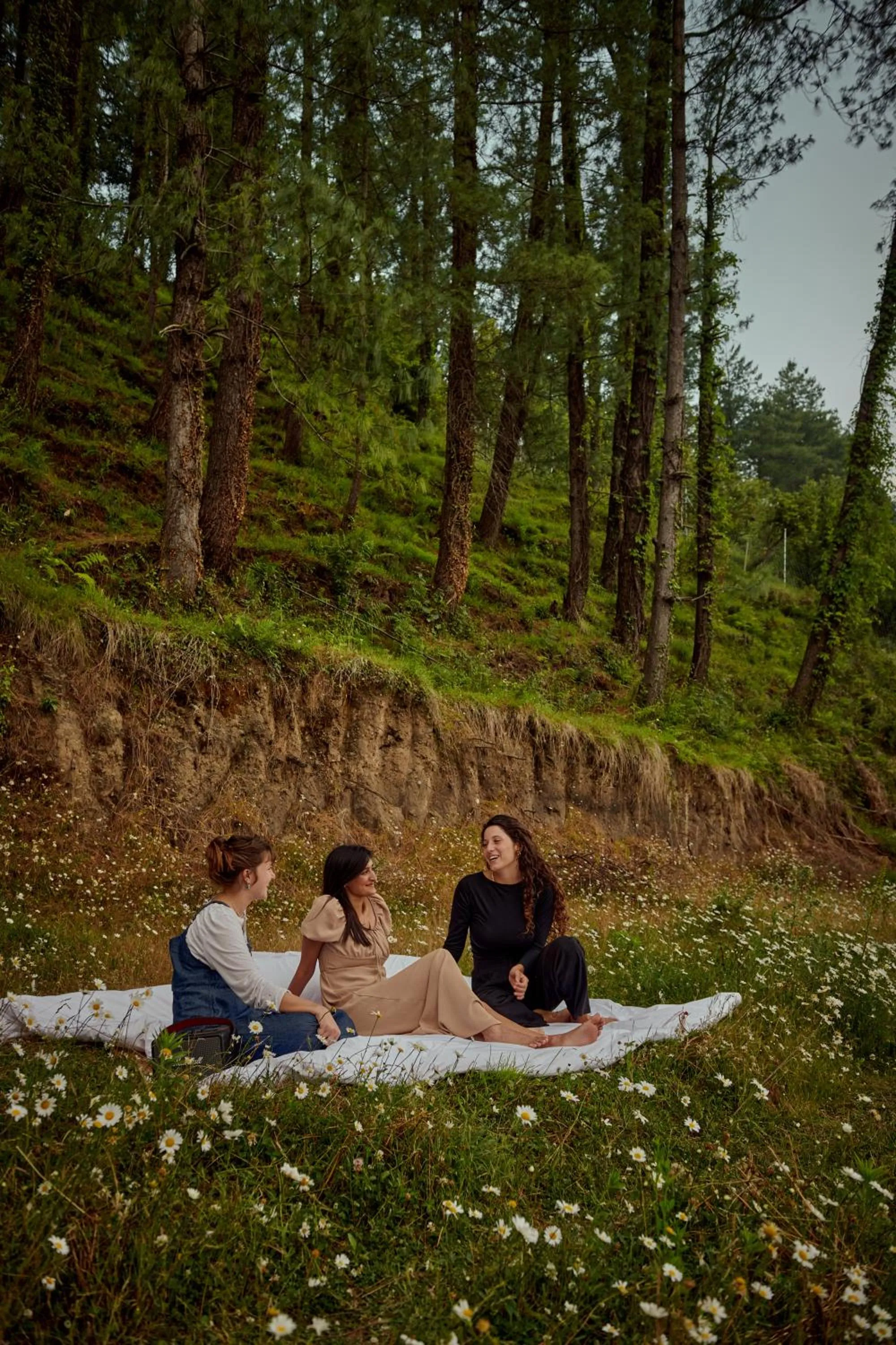 Minimalist : An Eco Farmstay