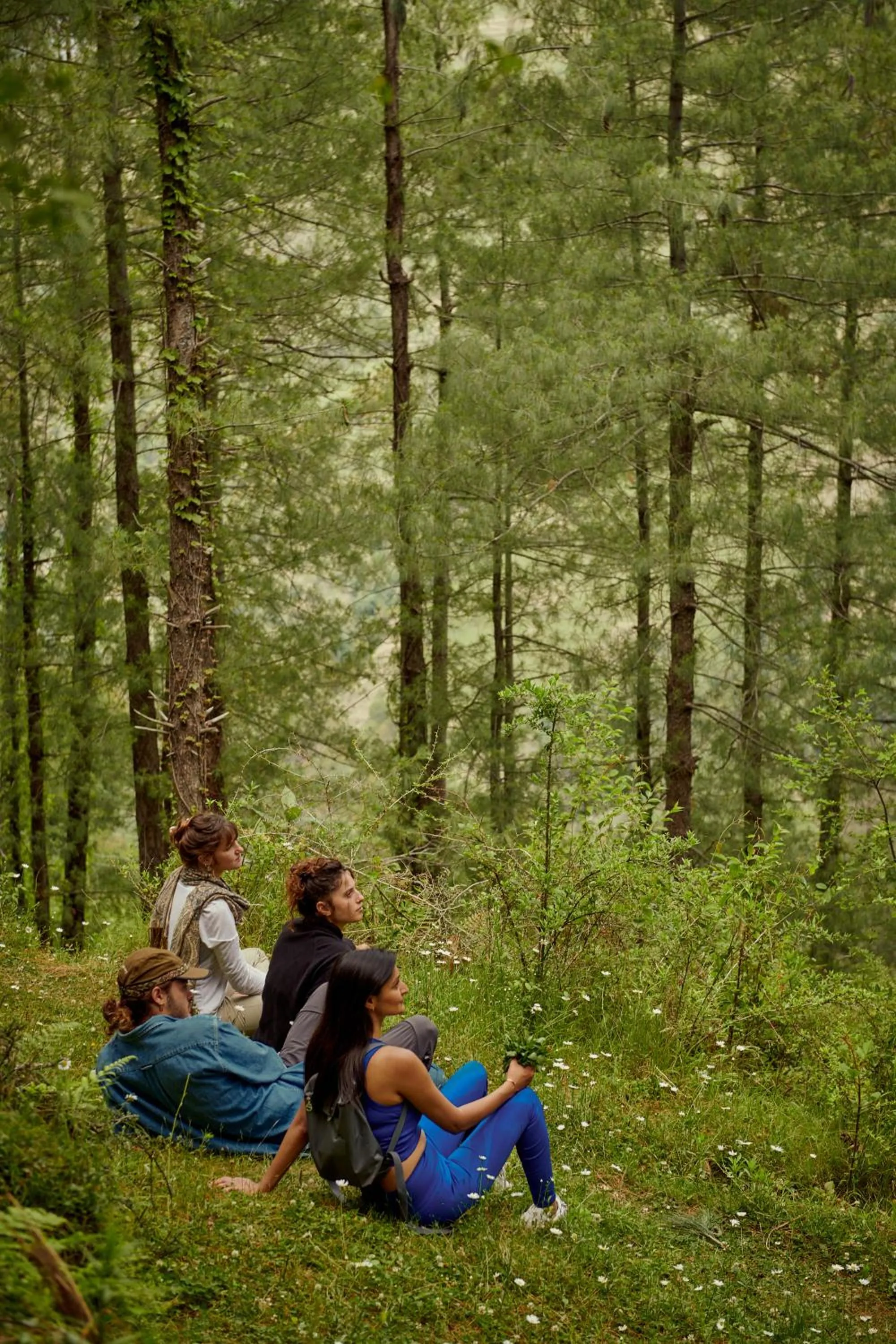 Minimalist : An Eco Farmstay