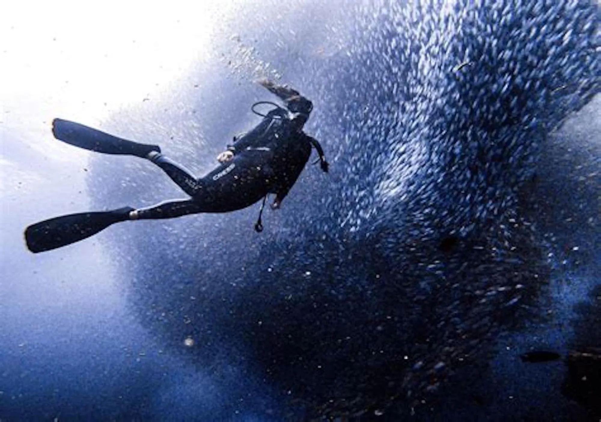 Sports in The Backyard Inn